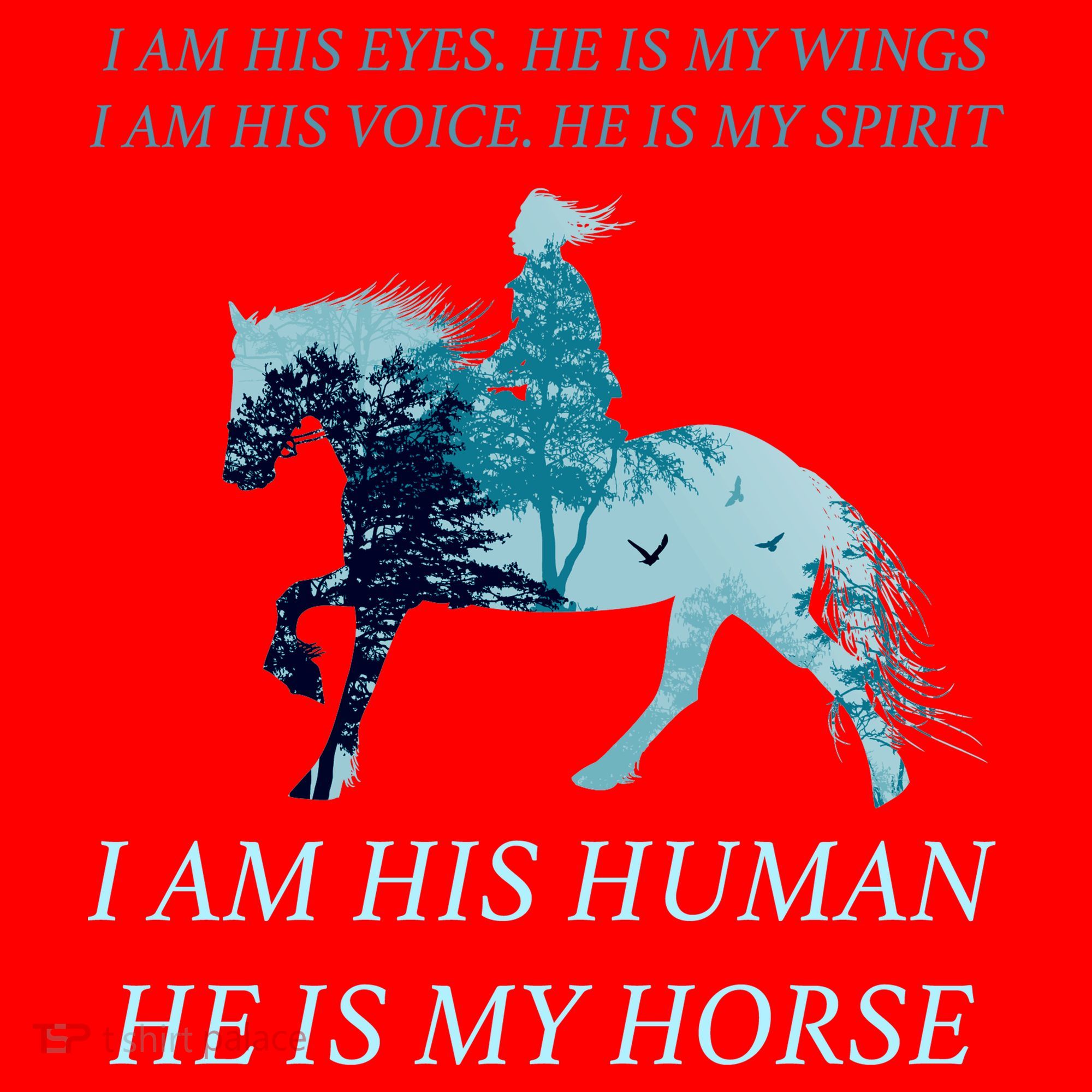I Am His Human He is My Horse Santa Hat