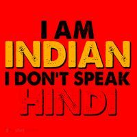 I Am Indian I Don't Speak Hindi Santa Hat thumb 1
