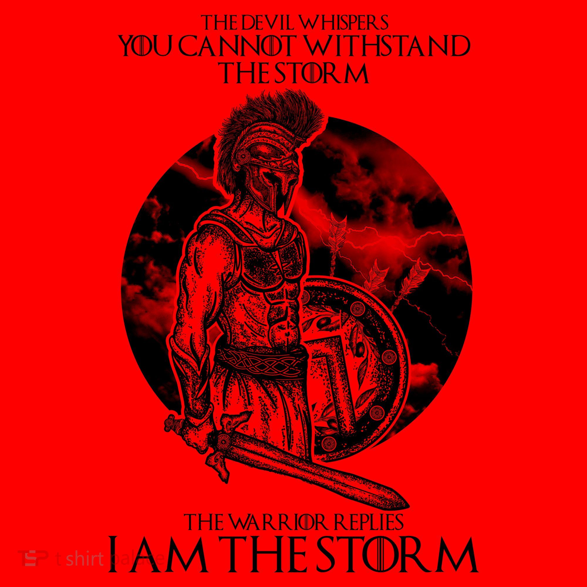 I Am The Storm Warrior Santa Hat