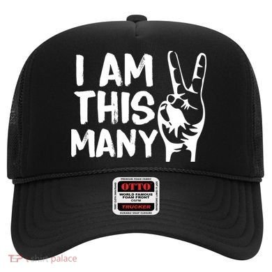 I AM This Many 2 Years Old Hat