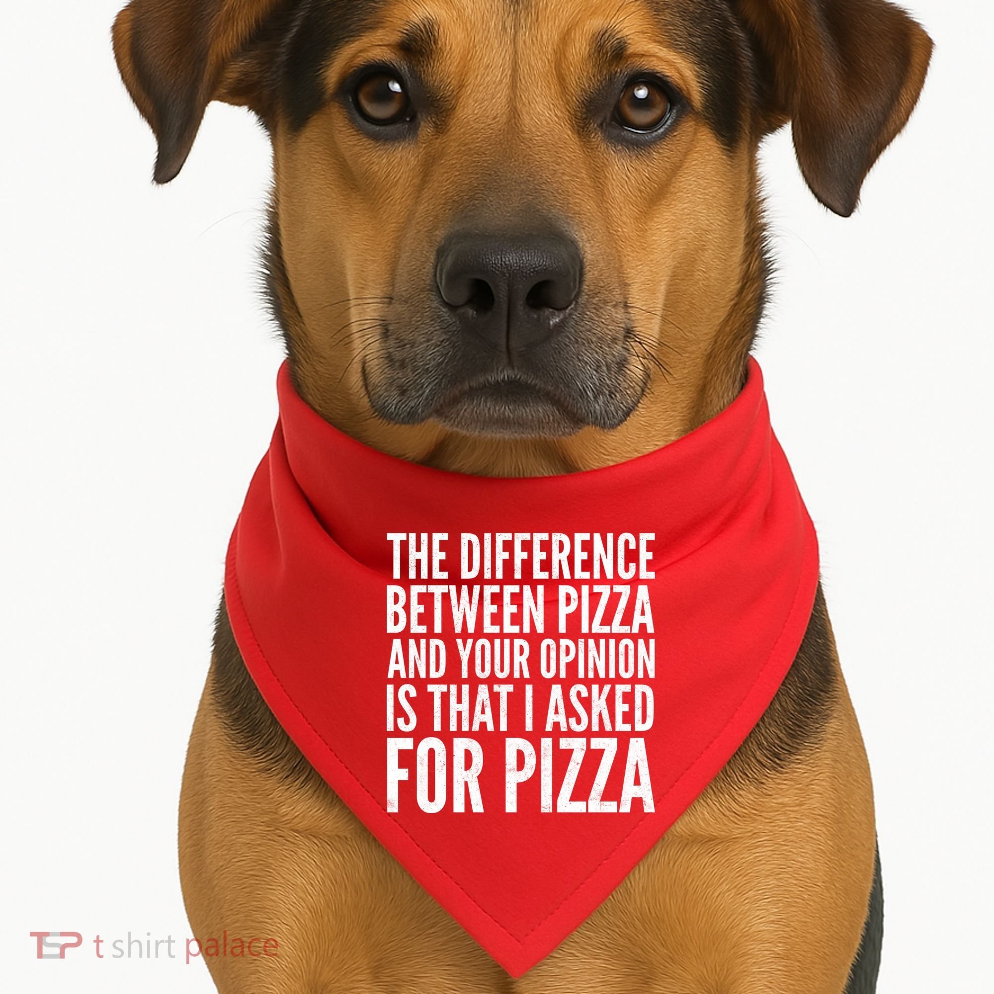 I Asked For Pizza Not Your Opinion USA-Made Doggie Bandana