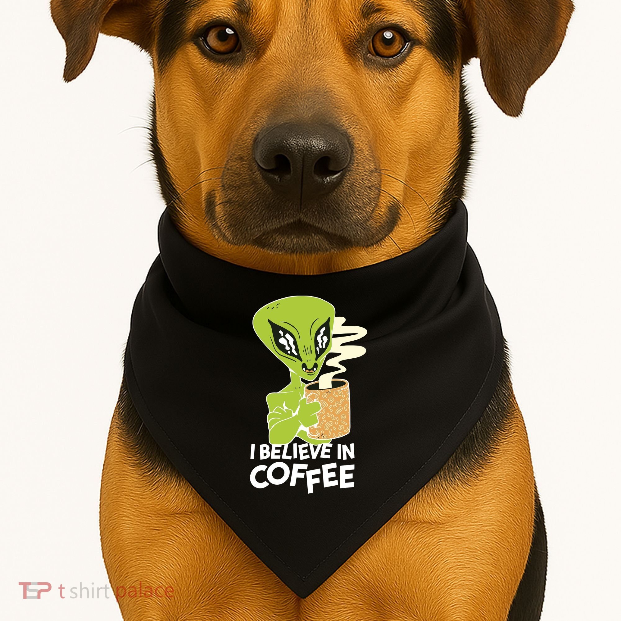 I Believe In Coffee Alien USA-Made Doggie Bandana
