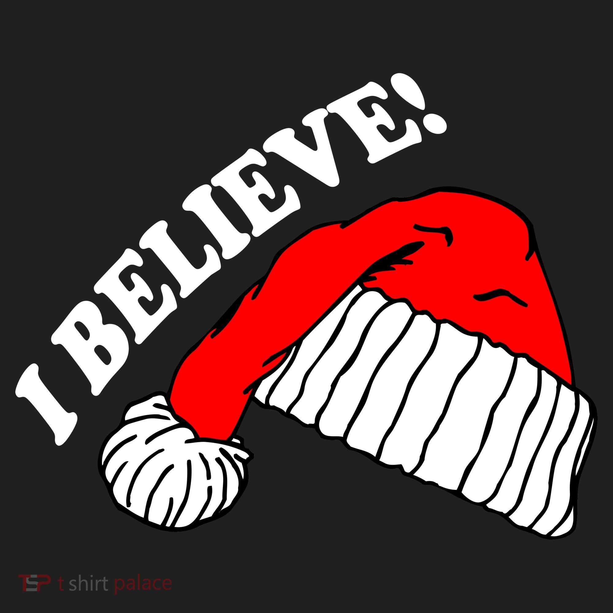 I Believe In Santa Claus Christmas Hat