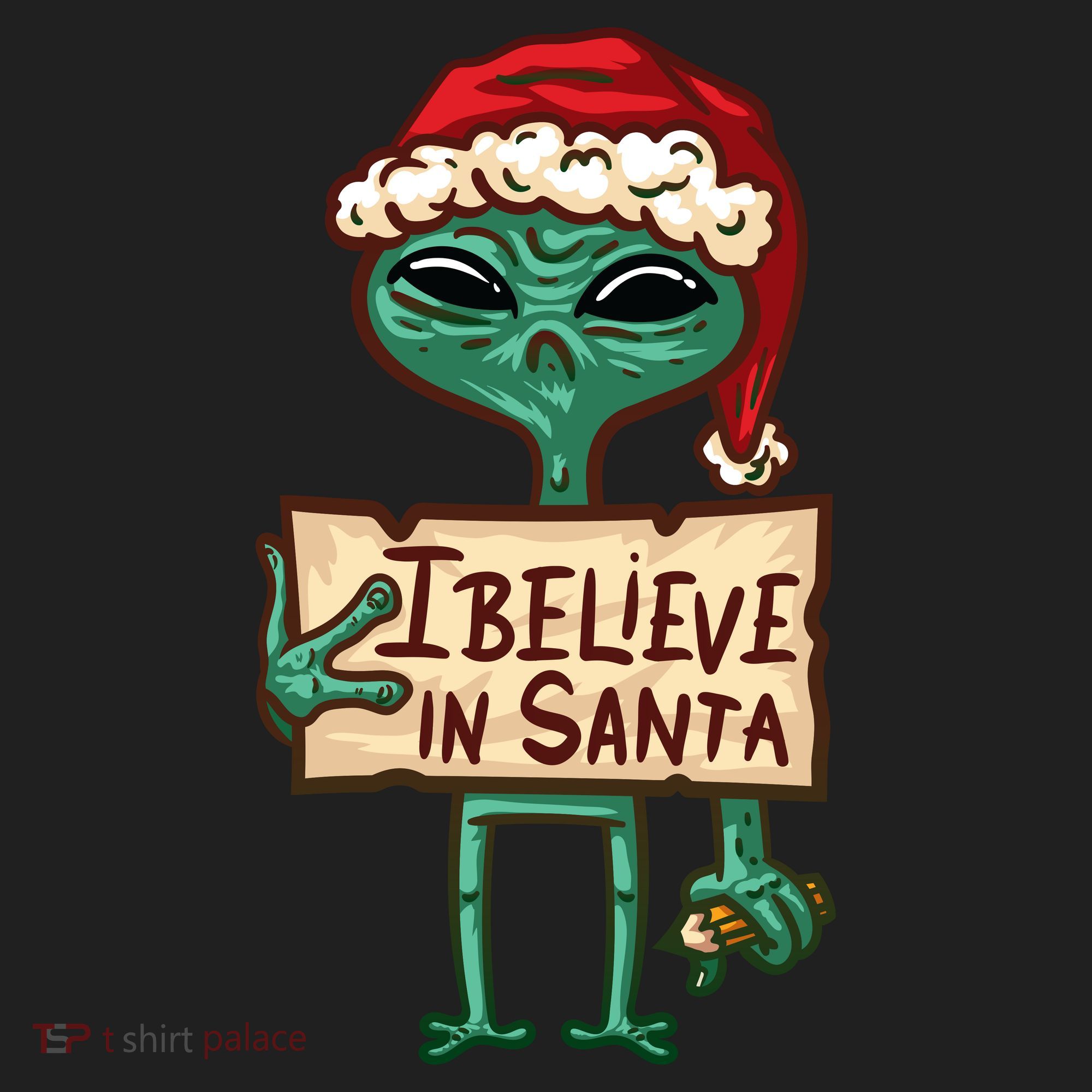I Believe In Santa Funny Alien Christmas Hat