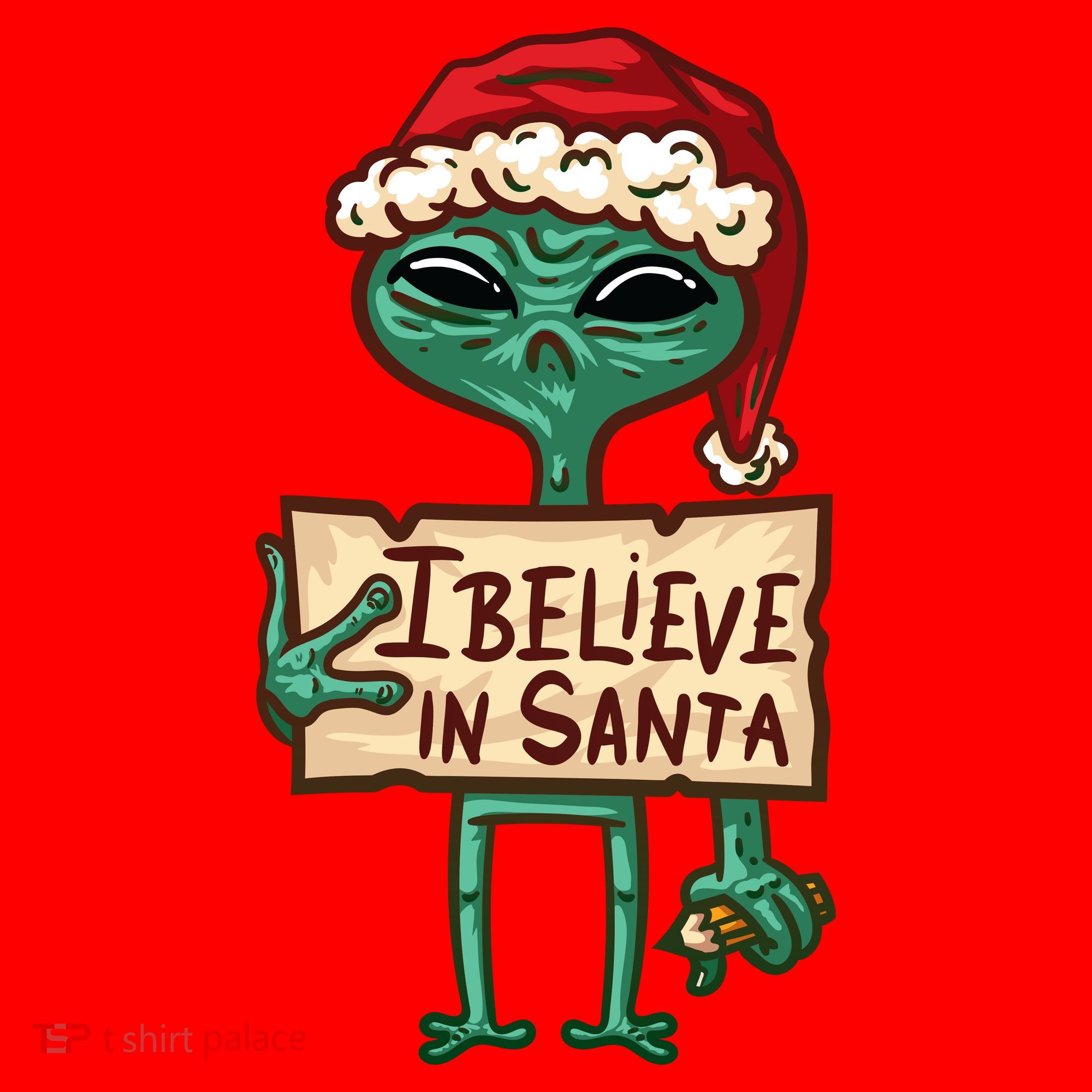 I Believe In Santa Funny Alien Christmas Santa Hat