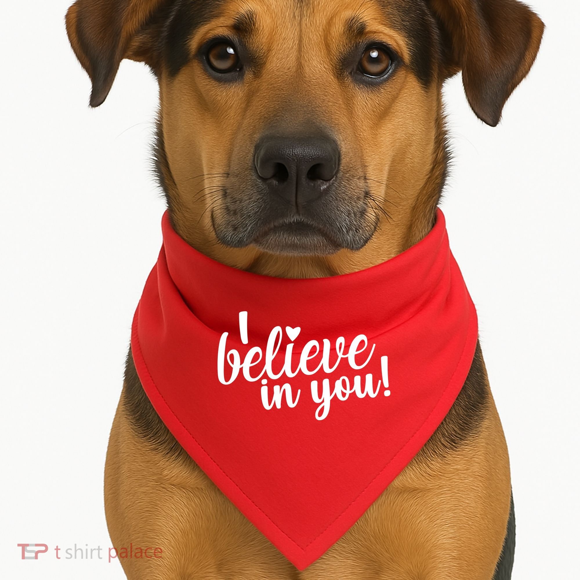 I Believe In You Teacher USA-Made Doggie Bandana