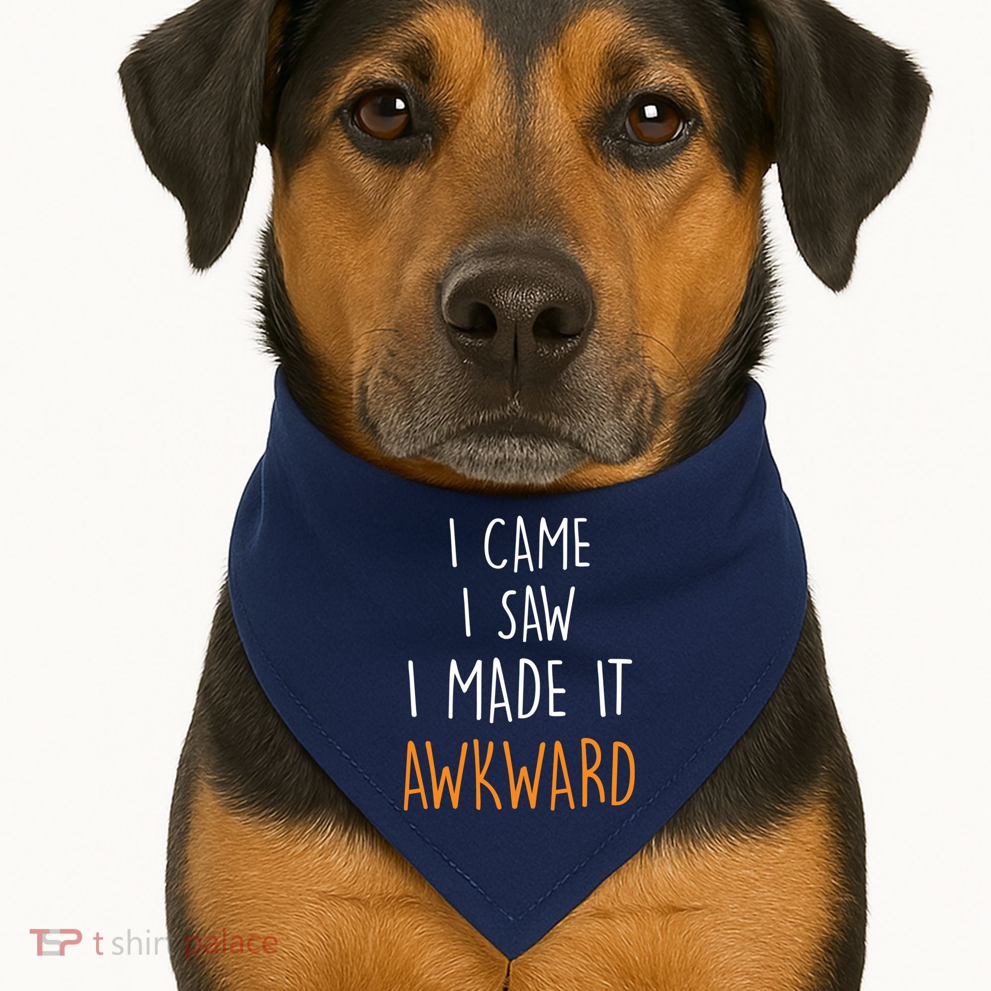 I Cam I Saw I Made It Awkward USA-Made Doggie Bandana