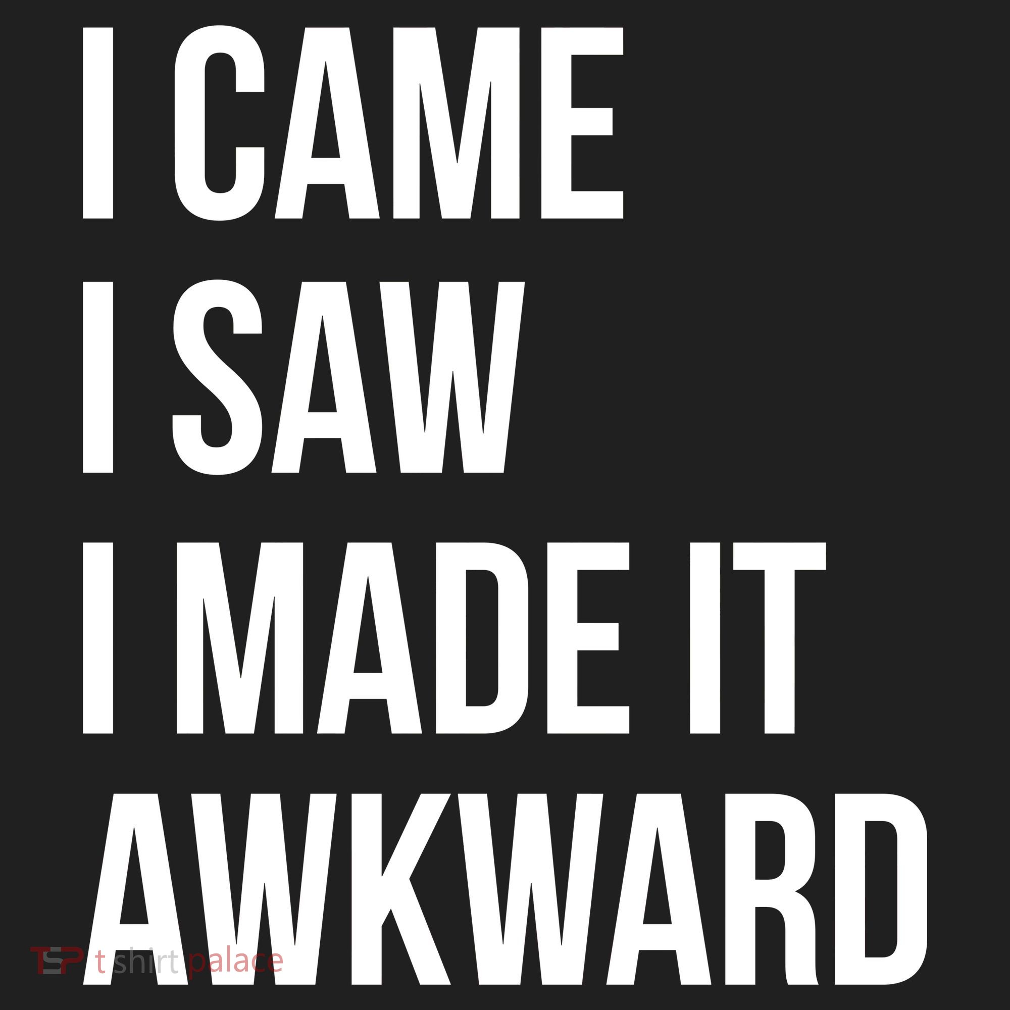I Came I Saw I Made It Awkward Funny Hat