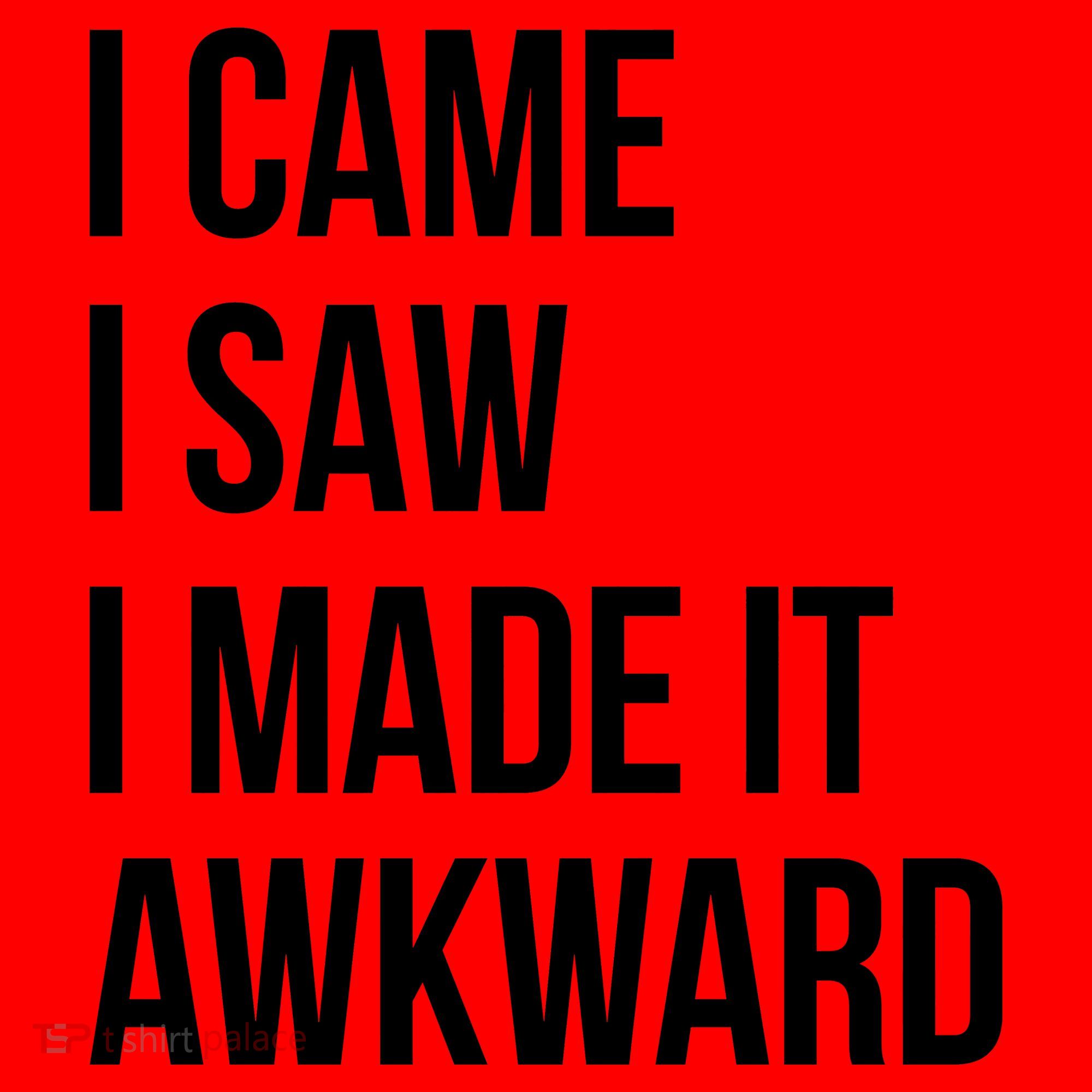 I Came I Saw I Made It Awkward Funny Santa Hat