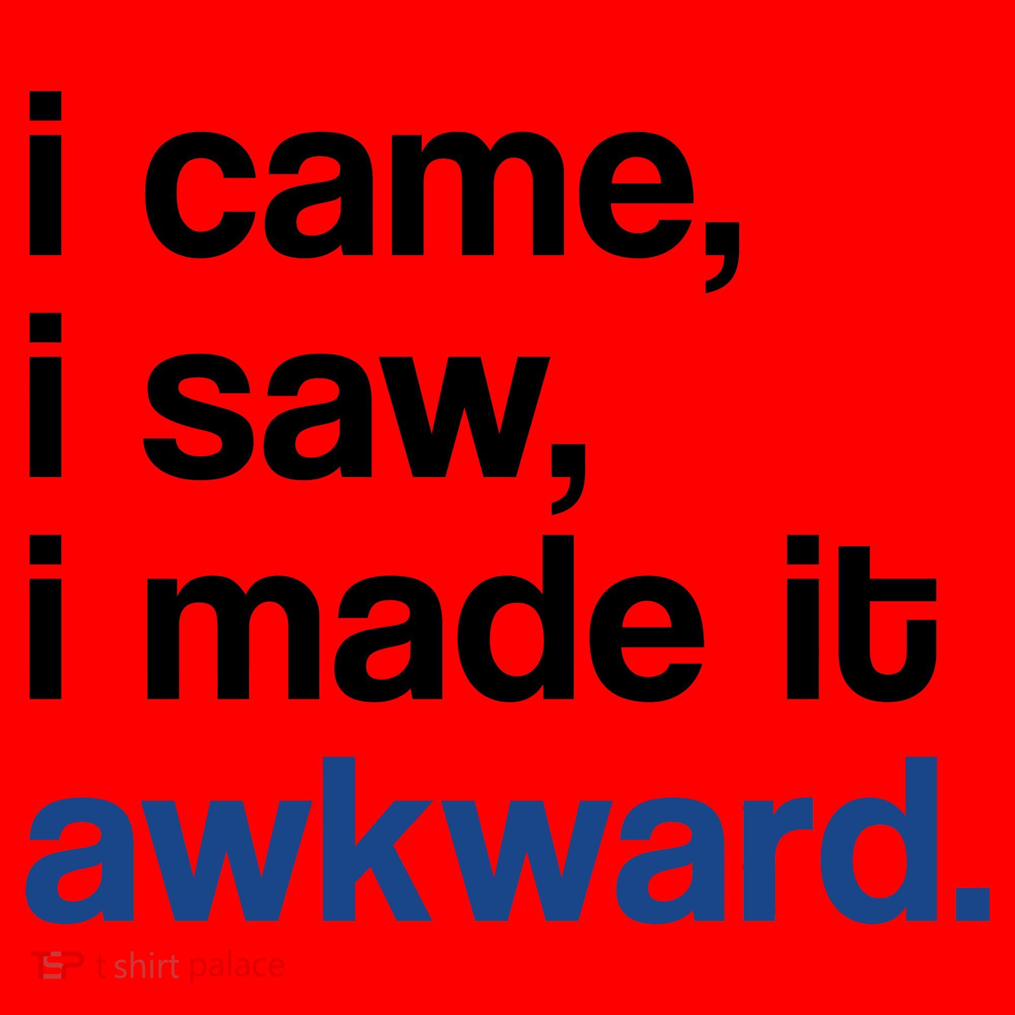 I Came I Saw I Made It Awkward Funny Meme Santa Hat