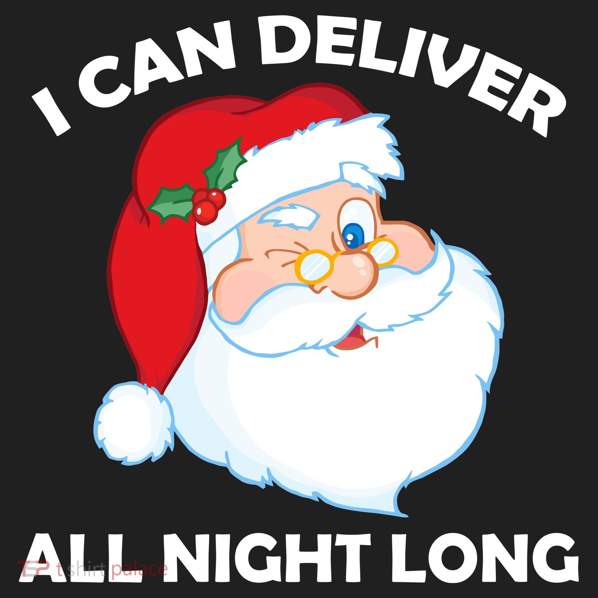 I Can Deliver All Night Long X-Mas Bad Santa Beanie