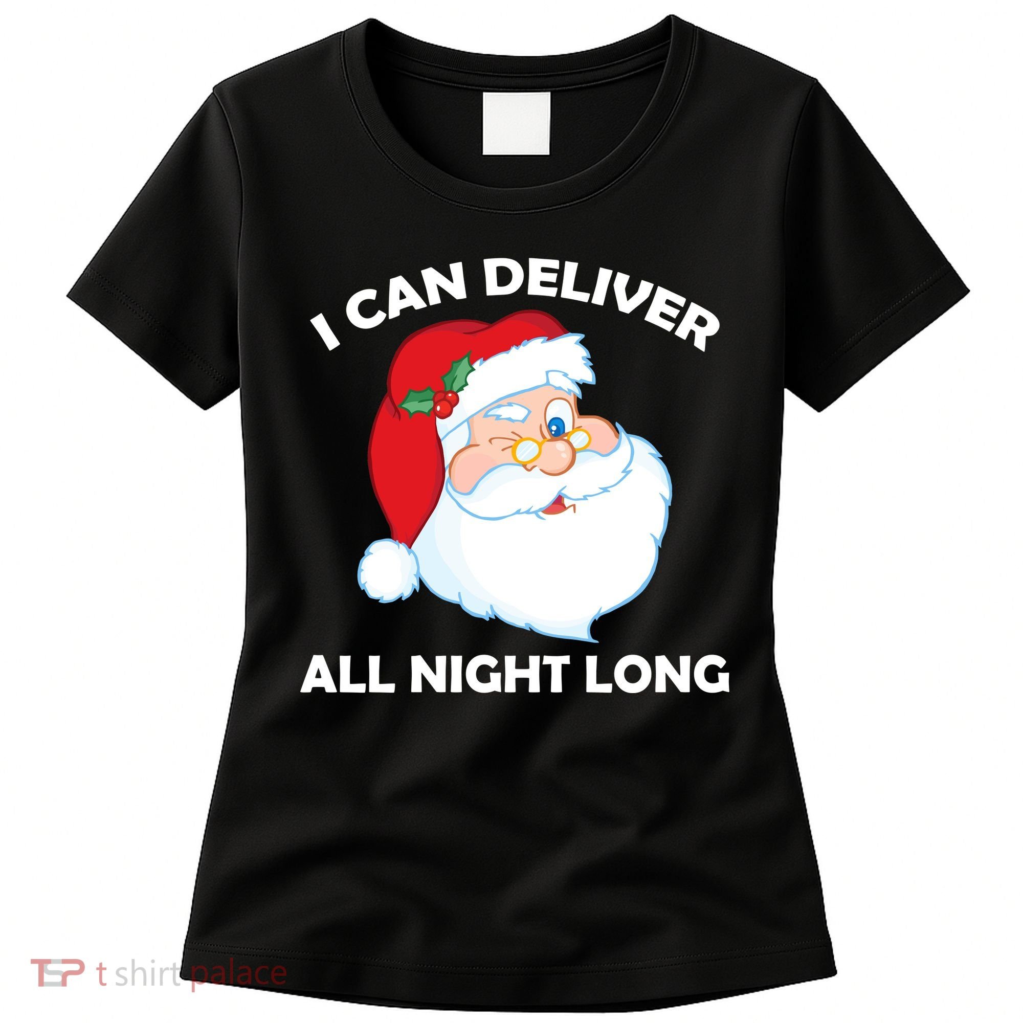 I Can Deliver All Night Long X-Mas Bad Santa Women's T-Shirt