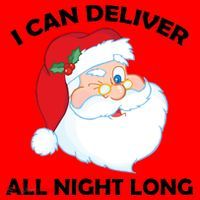 I Can Deliver All Night Long X-Mas Bad Santa Santa Hat thumb 1