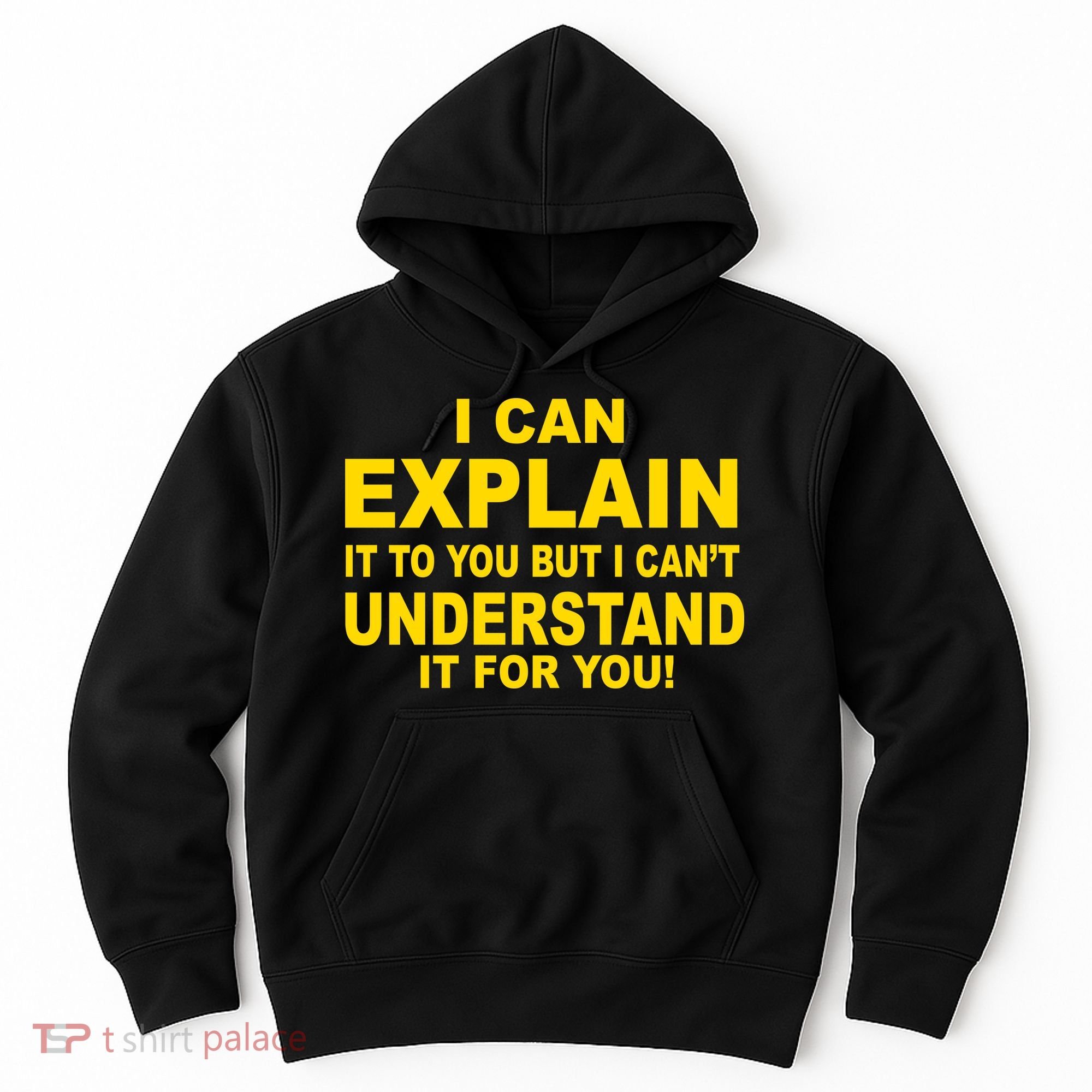 I Can Explain It But I can't Understand It For You Hoodie