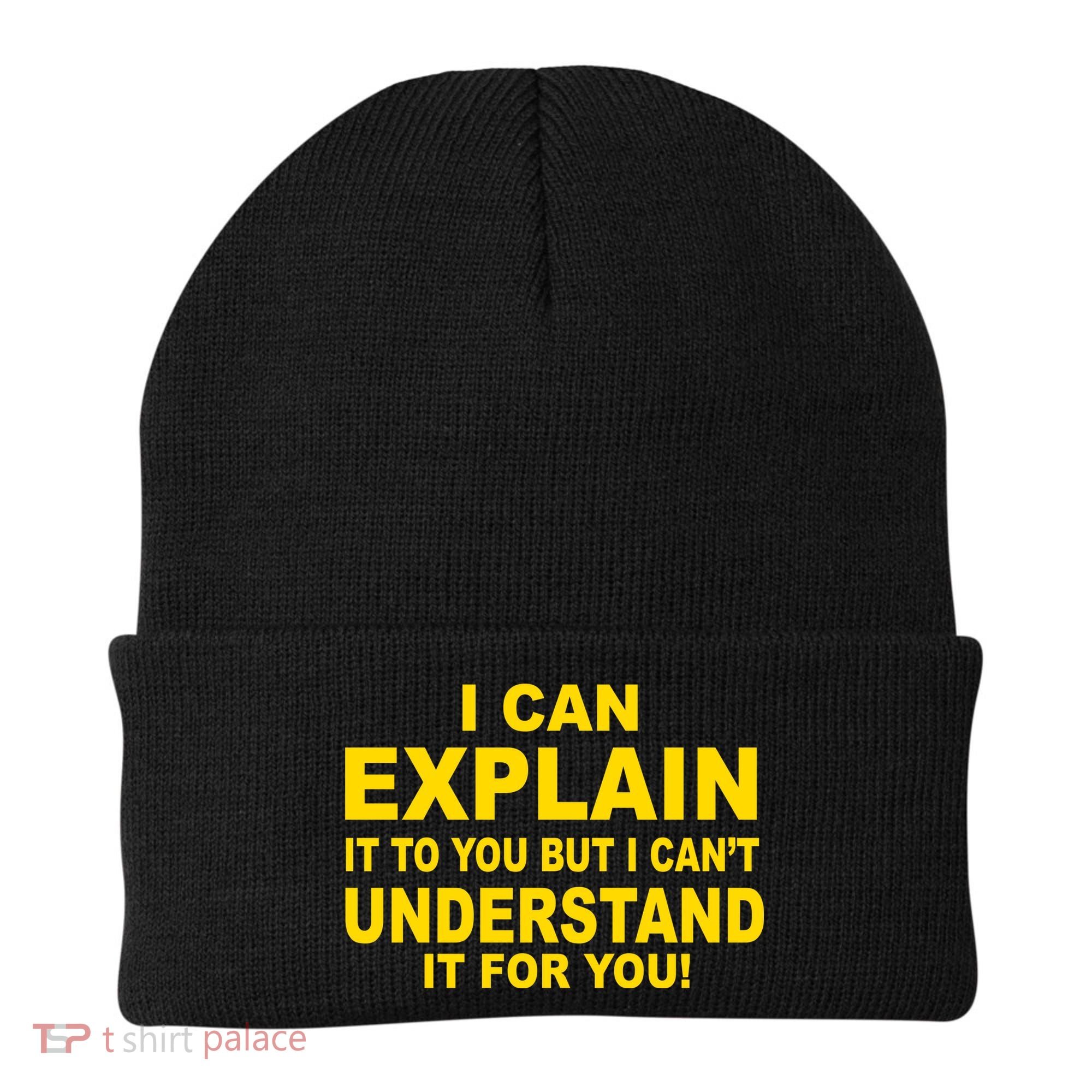 I Can Explain It But I can't Understand It For You Beanie