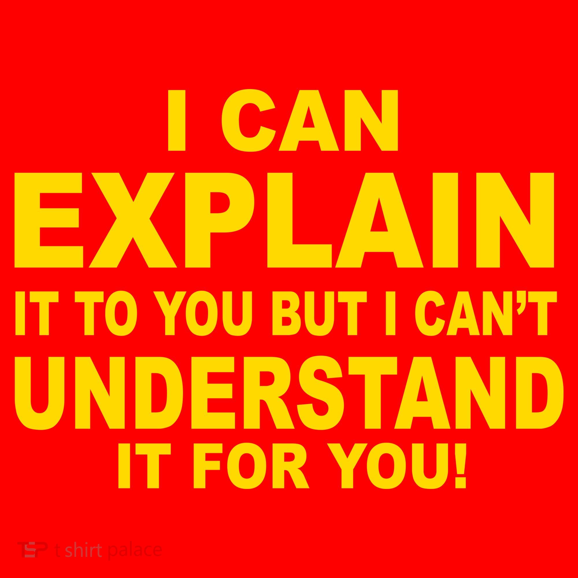 I Can Explain It But I can't Understand It For You Santa Hat