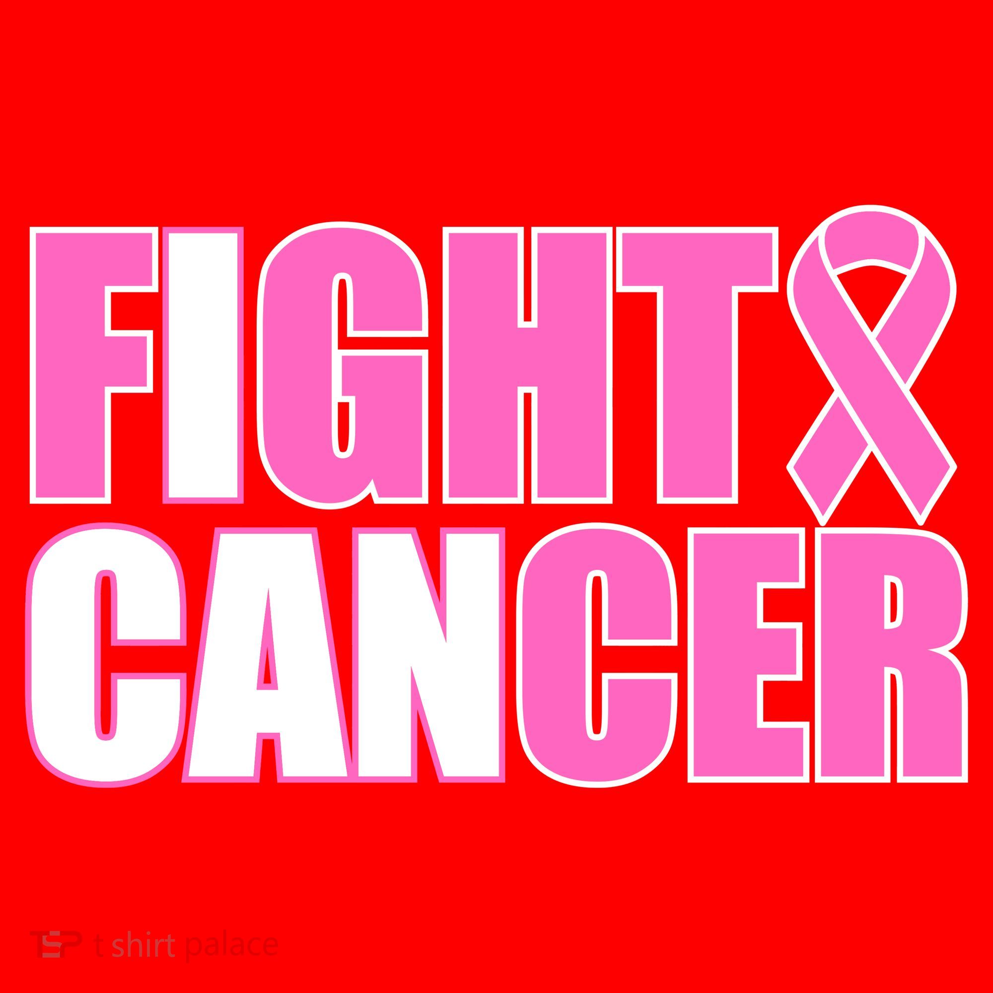 I Can Fight Cancer Breast Cancer Awareness Santa Hat
