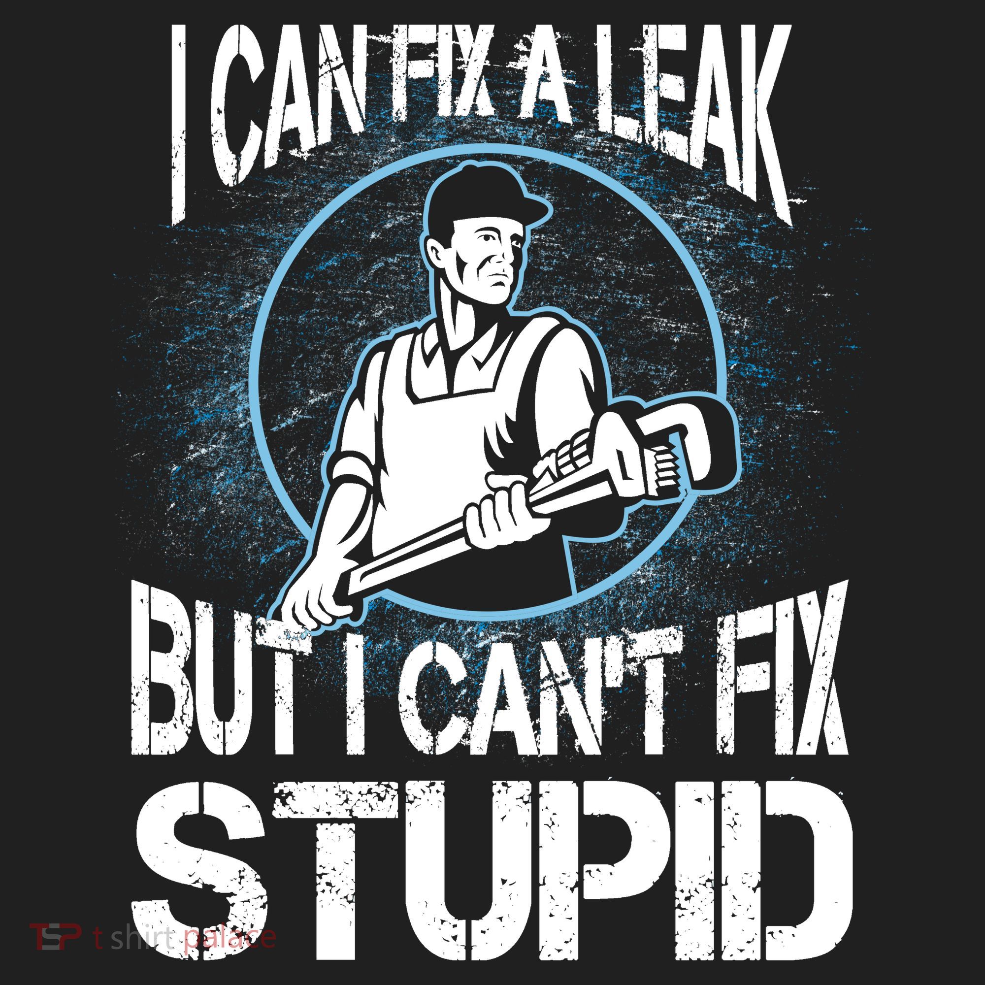 I Can Fix A Leak But Can't Fix Stupid Beanie