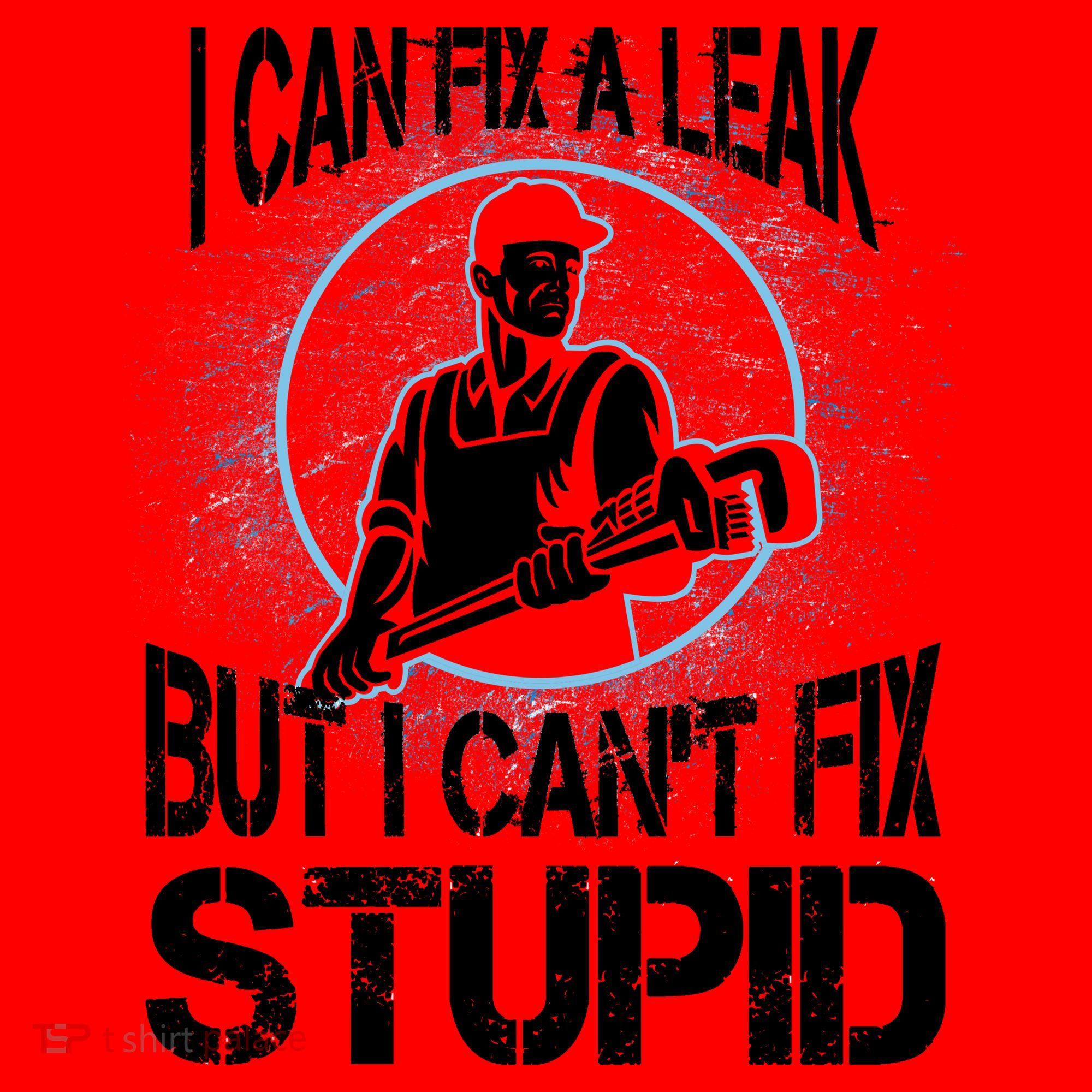 I Can Fix A Leak But Can't Fix Stupid Santa Hat