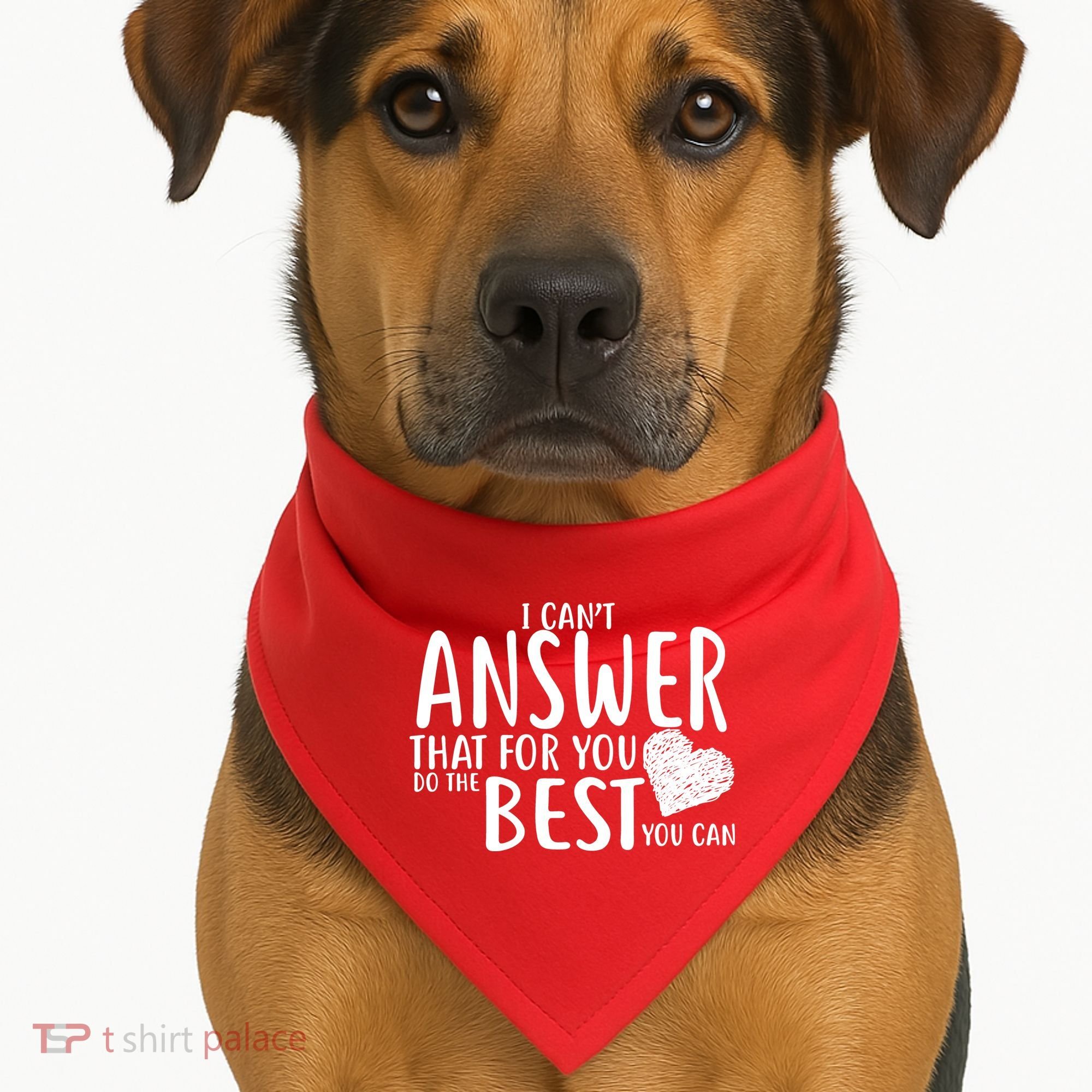 I Can't Answer That For You Do The Best You Can USA-Made Doggie Bandana
