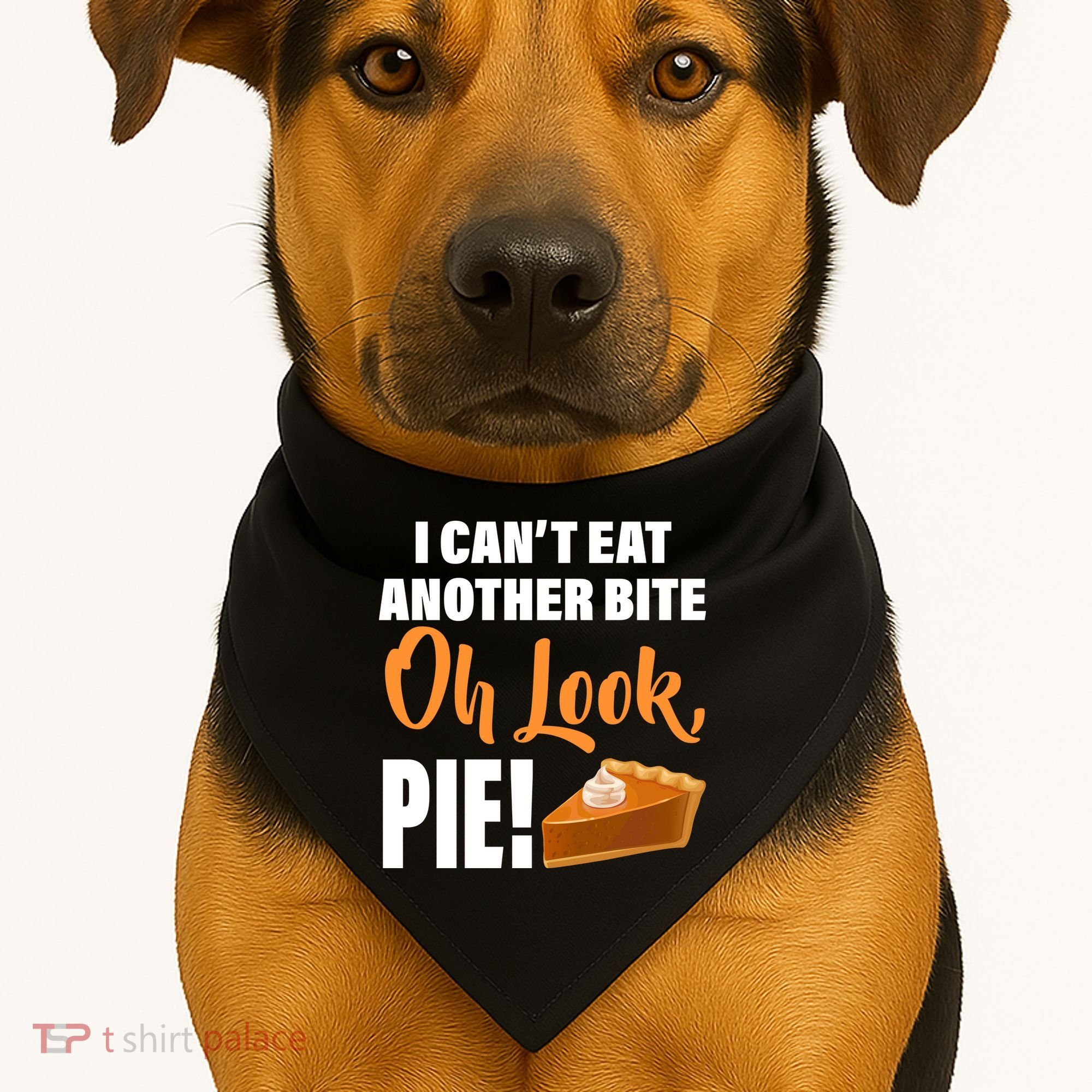 I Can't Eat Another Bite Oh Look PIE! USA-Made Doggie Bandana