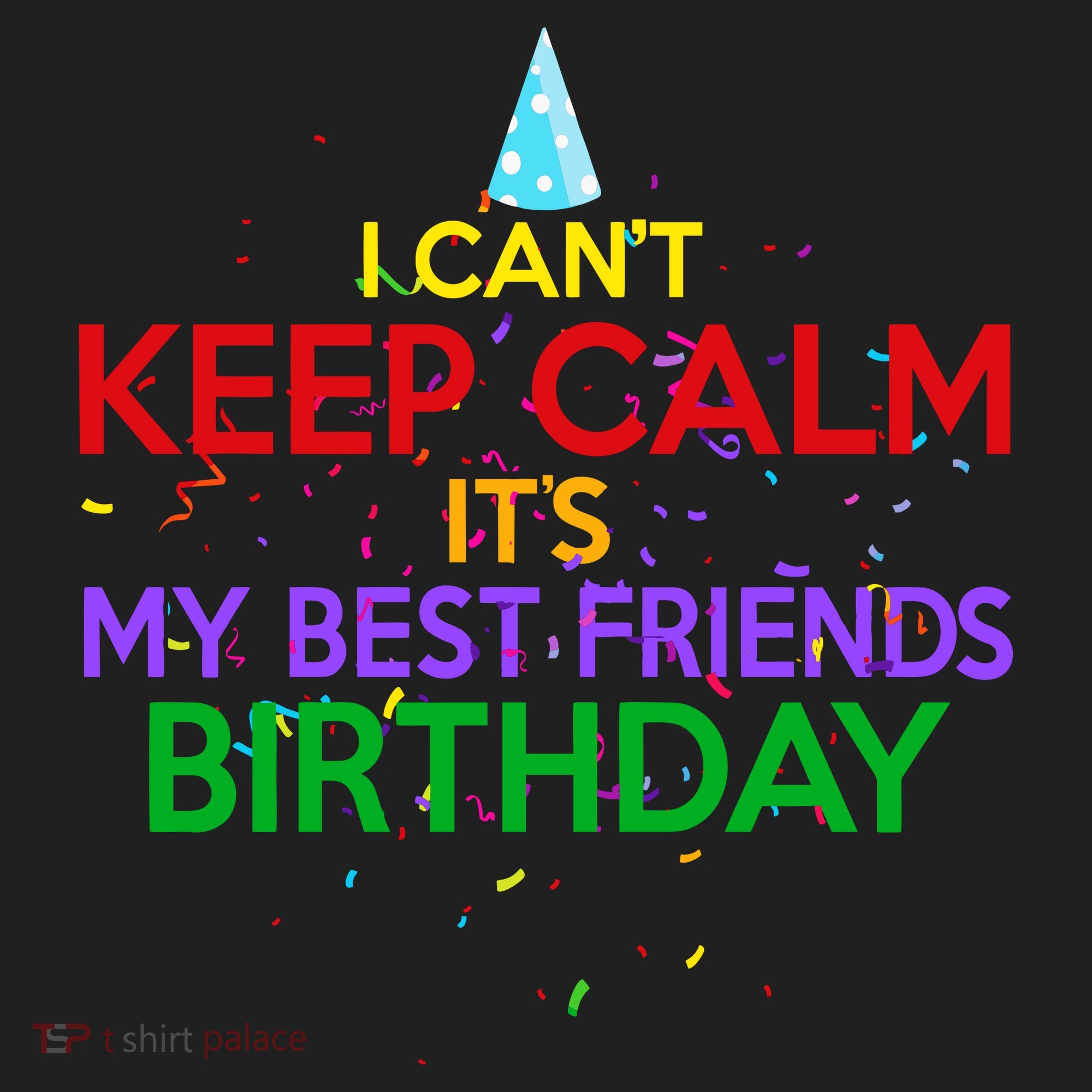 I Can't Keep Calm It's My Best Friends Birthday Hat