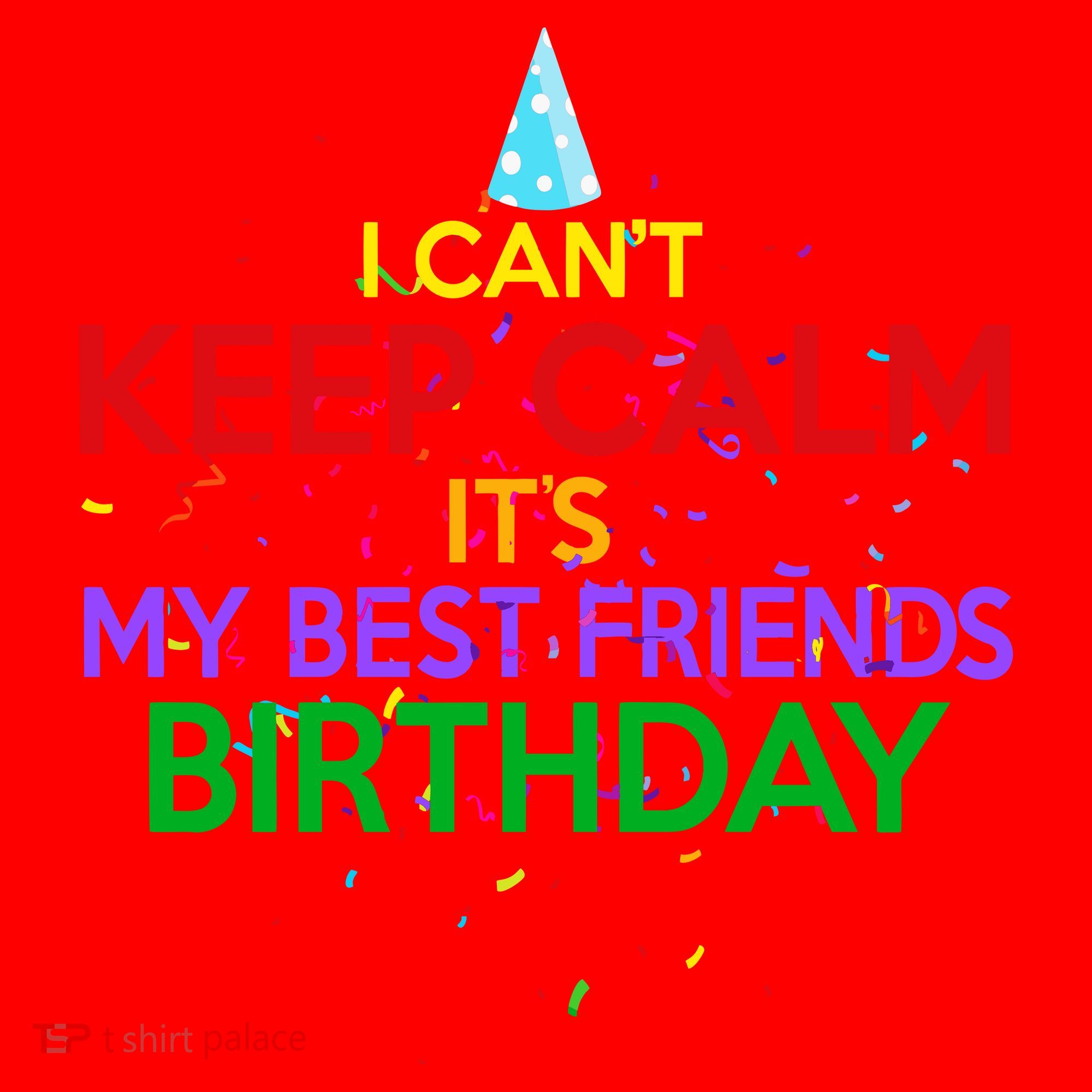I Can't Keep Calm It's My Best Friends Birthday Santa Hat