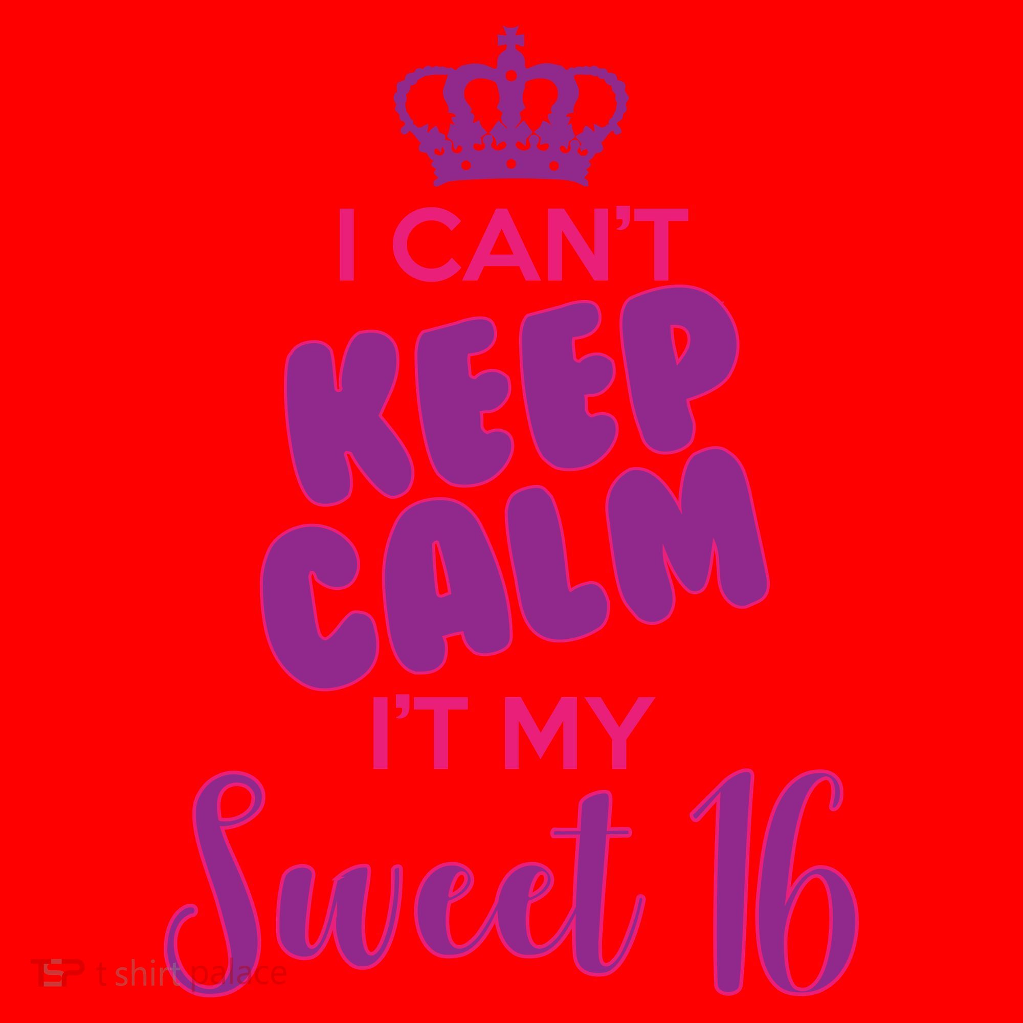 I Can't Keep Calm It's MY Sweet  16 Santa Hat