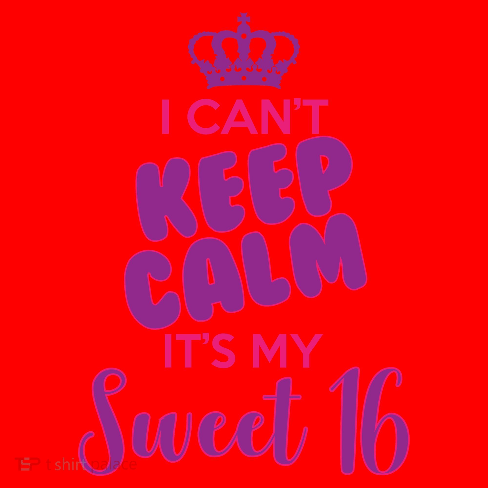 I Can't Keep Calm It's My Sweet 16 Santa Hat