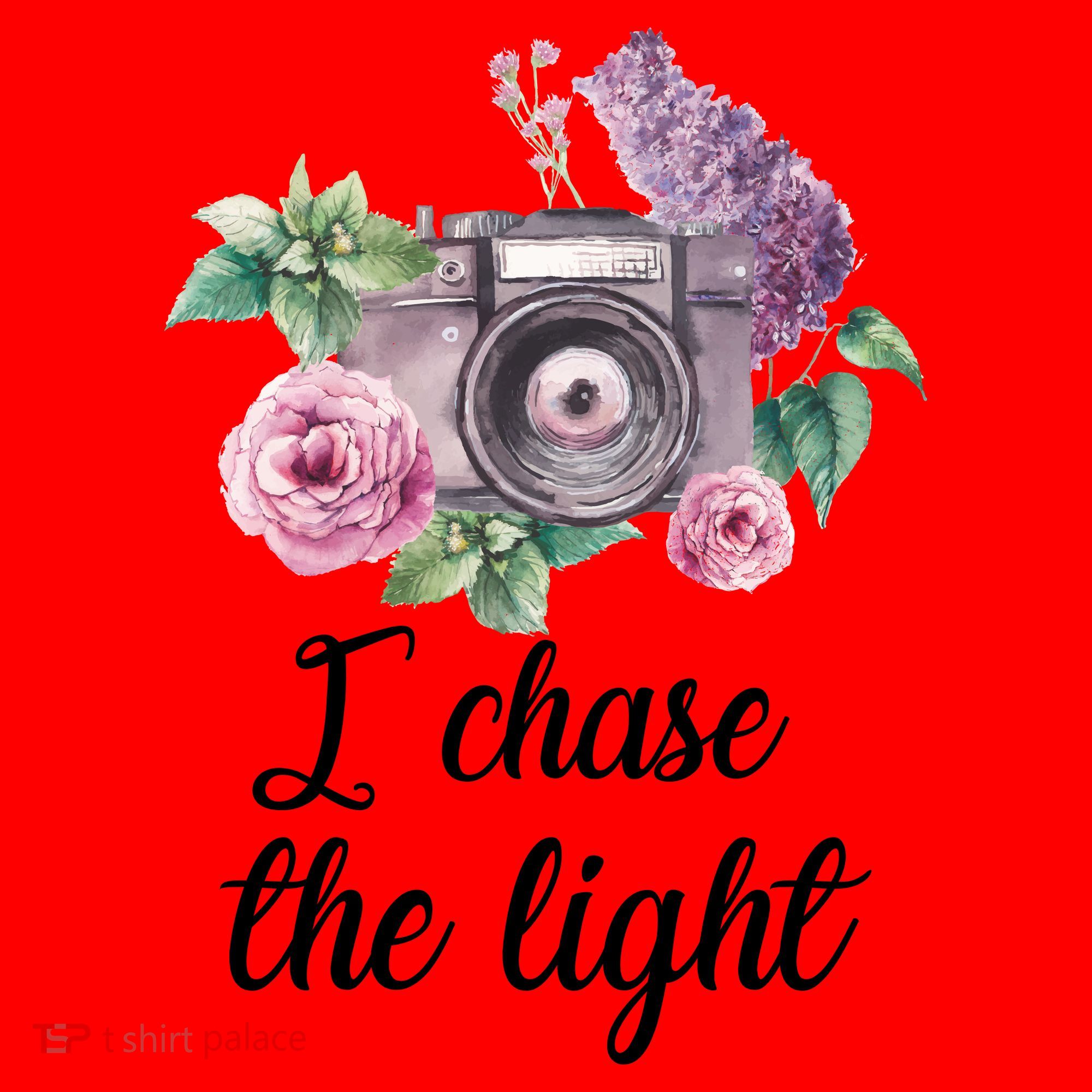 I Chase the Light Camera Santa Hat