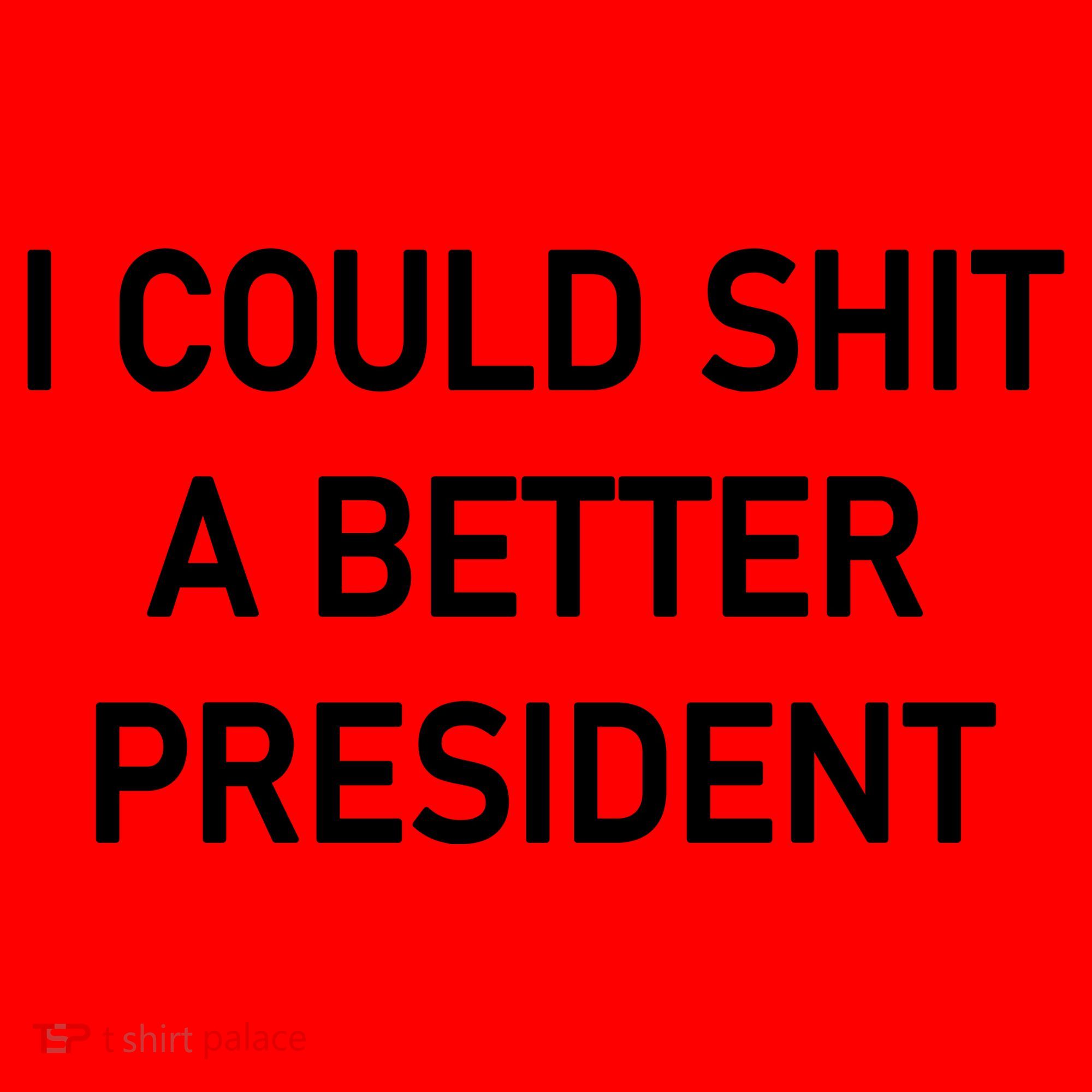 I Could Shit A Better President Funny Pro Republican Santa Hat