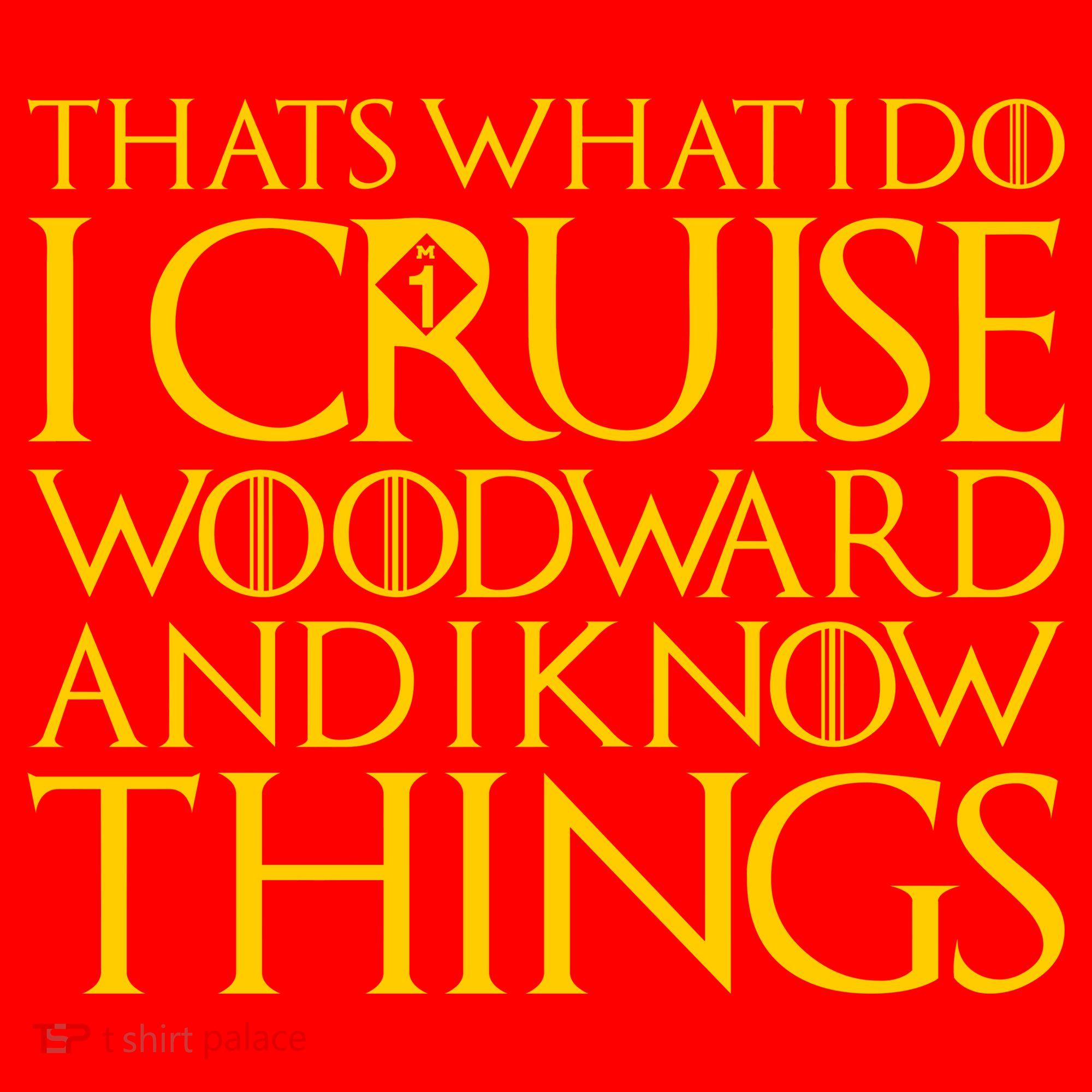 I Cruise Woodward Ave and Know Things Santa Hat