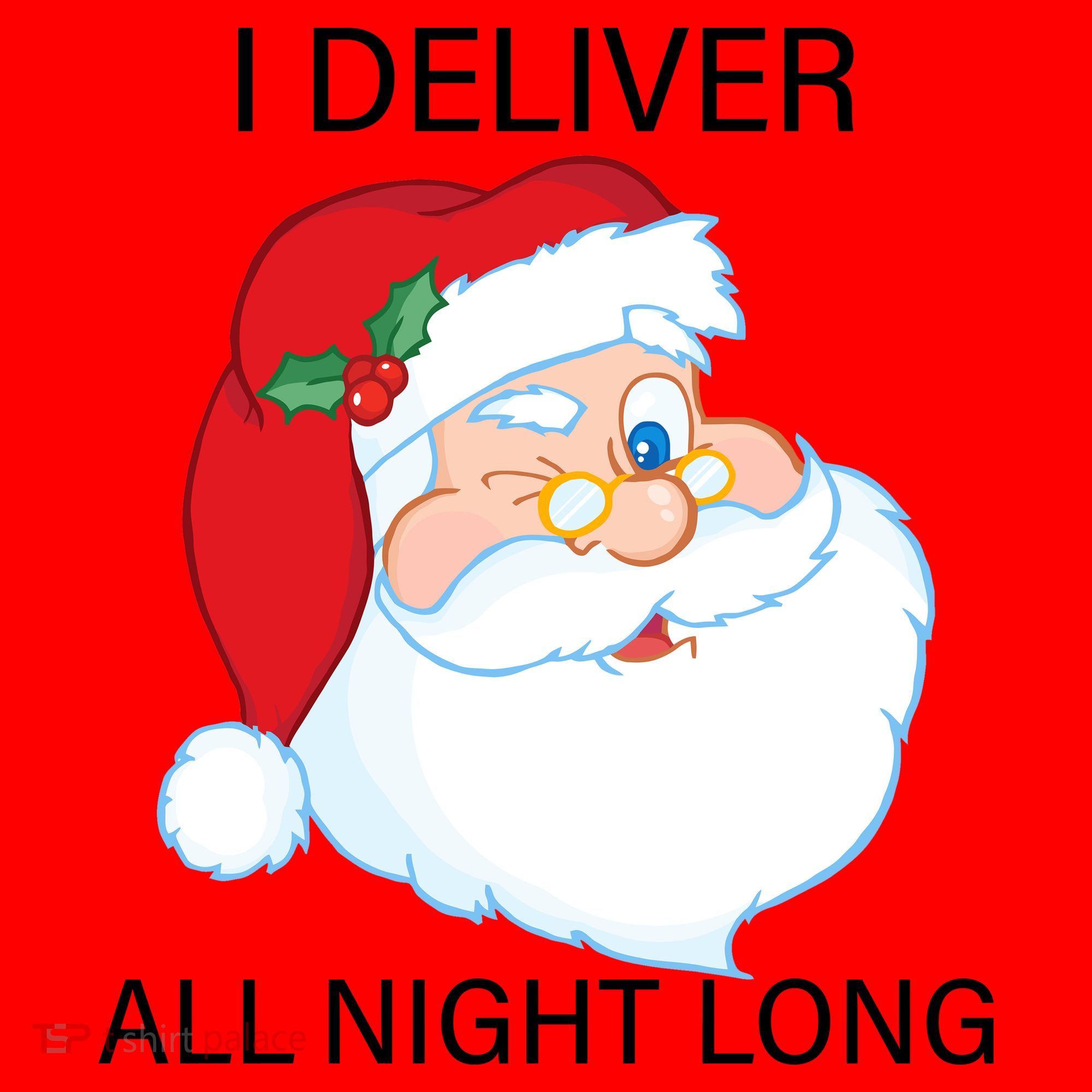 I Deliver All Night Long Funny Santa Santa Hat
