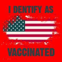 I Dentify As Vaccinated American Flag Santa Hat thumb 1