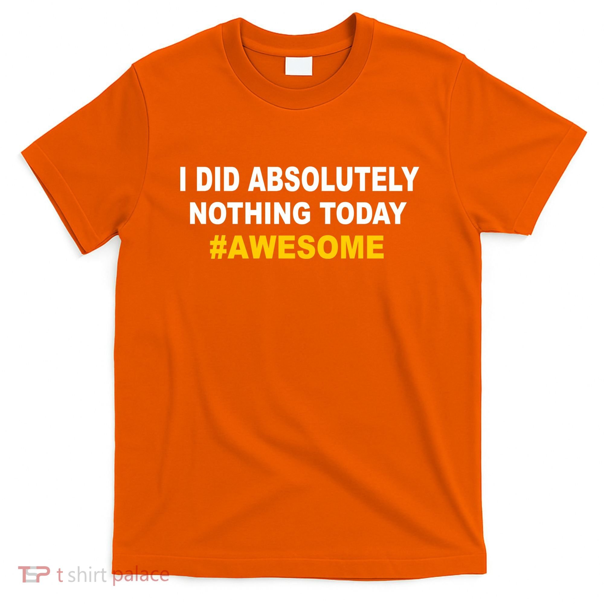 I Did Absolutely Nothing Today #Awesome T-Shirt