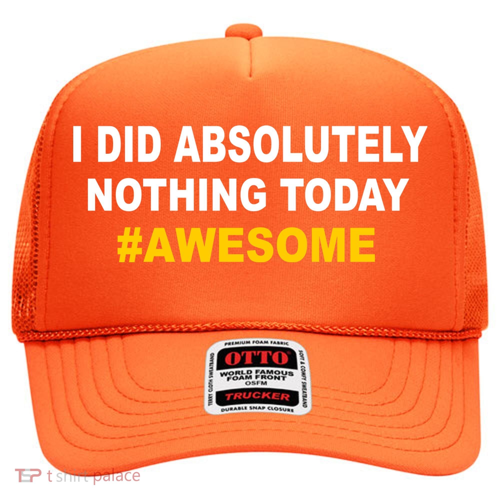 I Did Absolutely Nothing Today #Awesome Hat