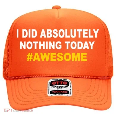 I Did Absolutely Nothing Today #Awesome Hat