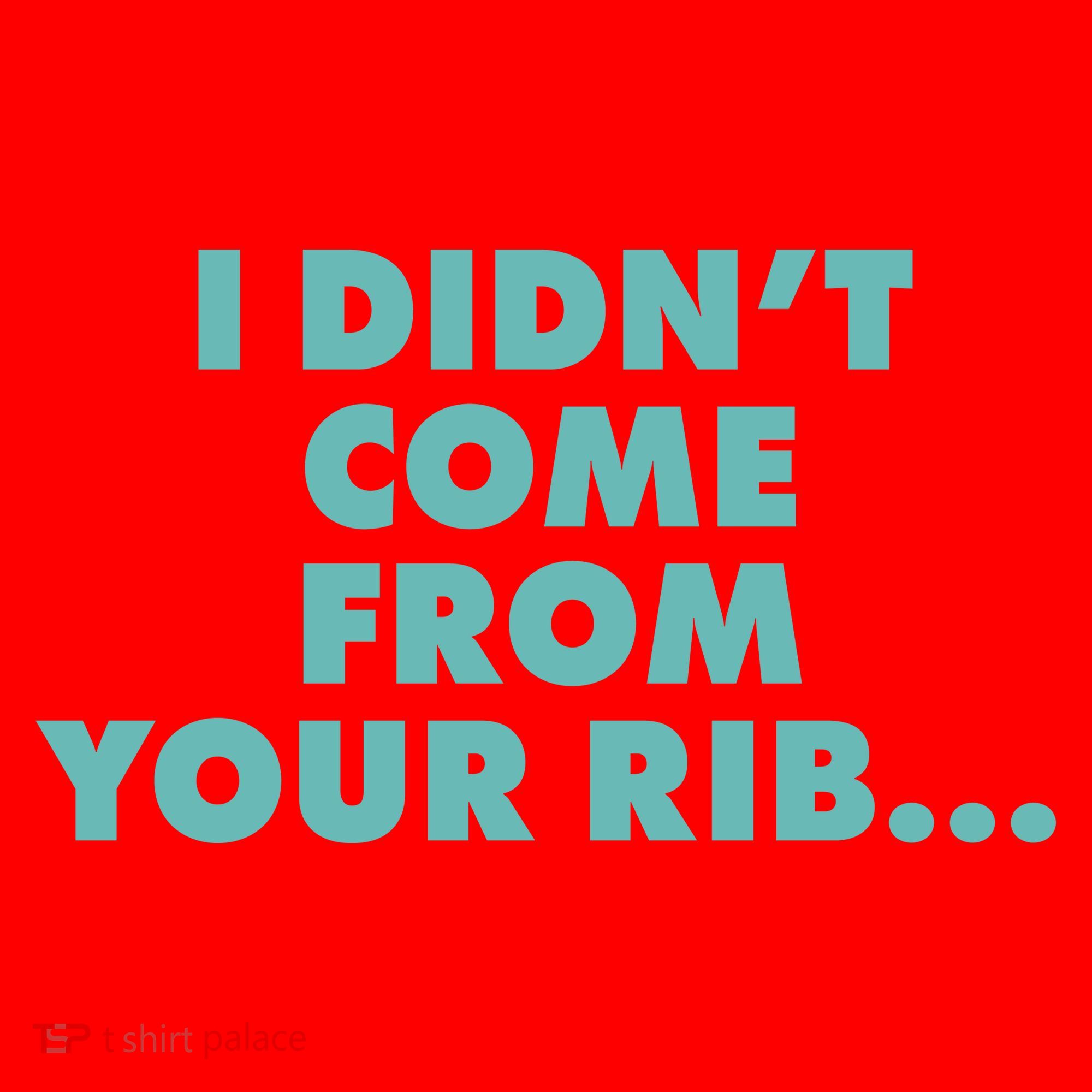I Didn't Come From Your Rib Santa Hat