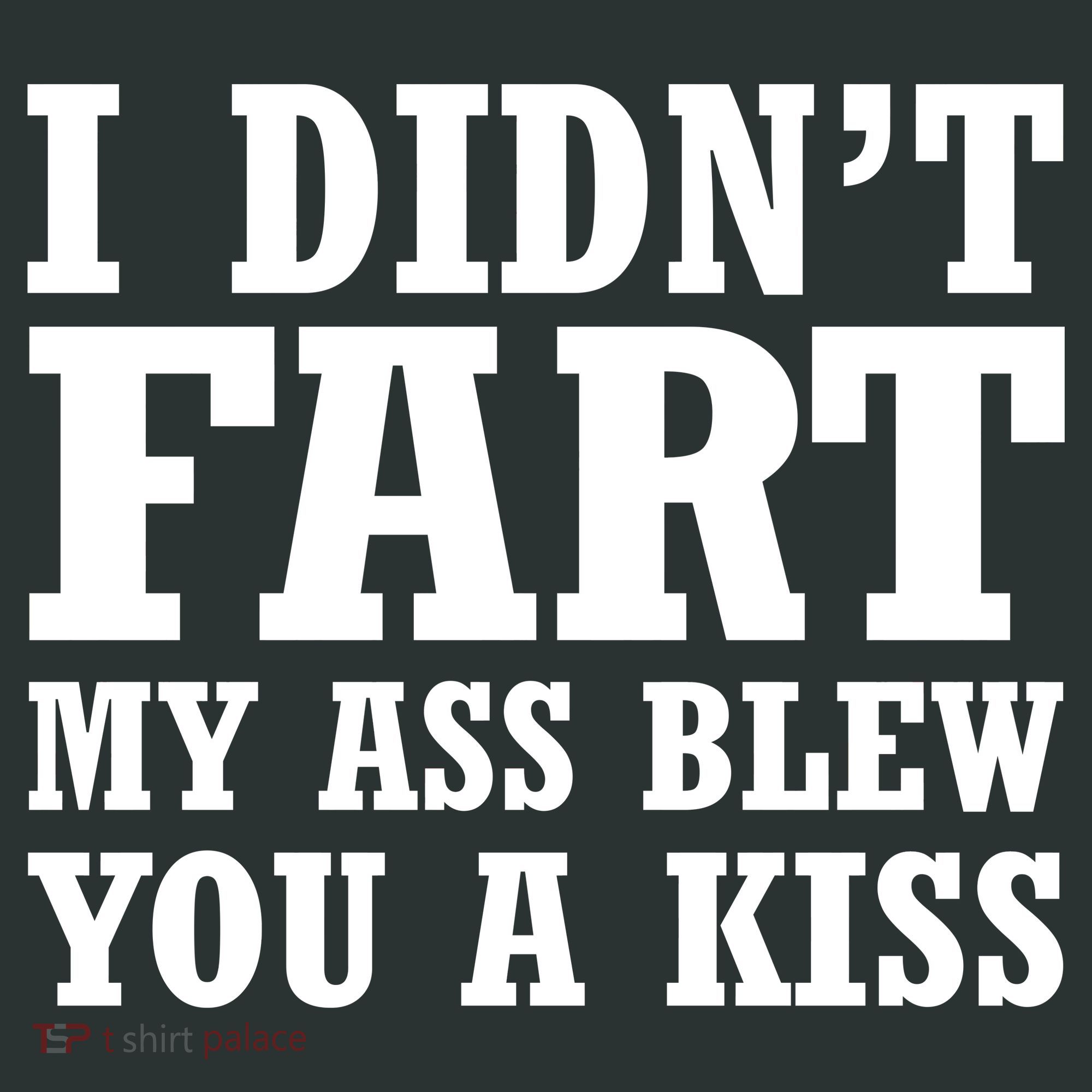 I Didn't Fart I Blew You A Kiss Long Sleeve Shirt