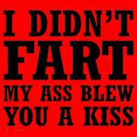 I Didn't Fart I Blew You A Kiss Santa Hat thumb 1