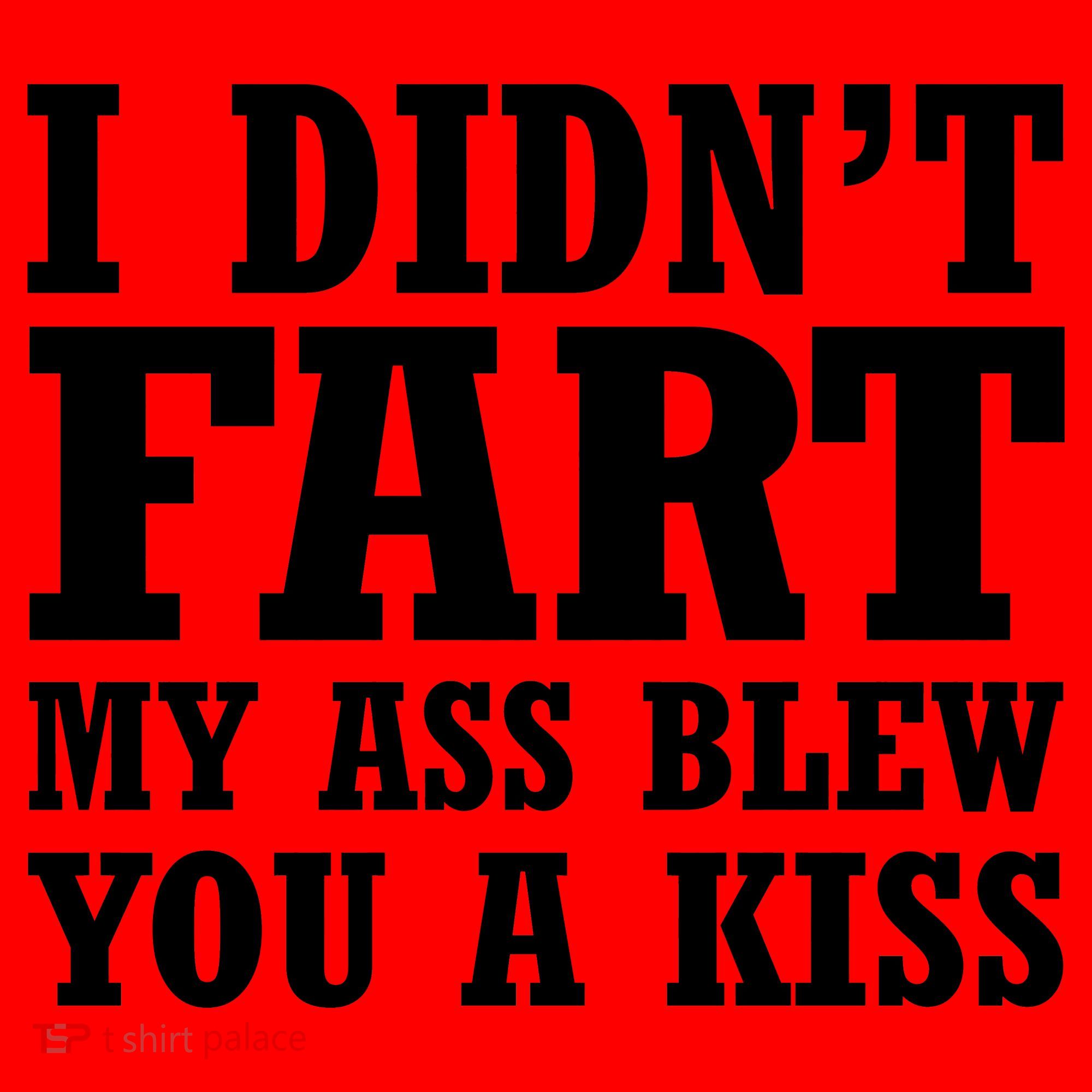 I Didn't Fart I Blew You A Kiss Santa Hat