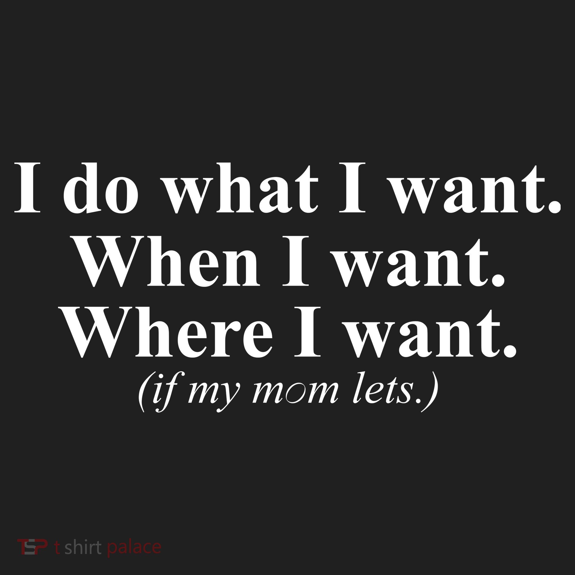 I Do What I Want Hat