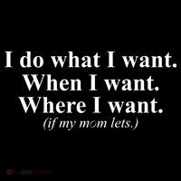 I Do What I Want Toddler Hoodie thumb 2