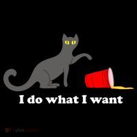 I Do What I Want Evil Cat Toddler Hoodie thumb 2