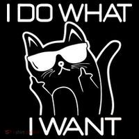 I Do What I Want Funny Cat Toddler Hoodie thumb 2