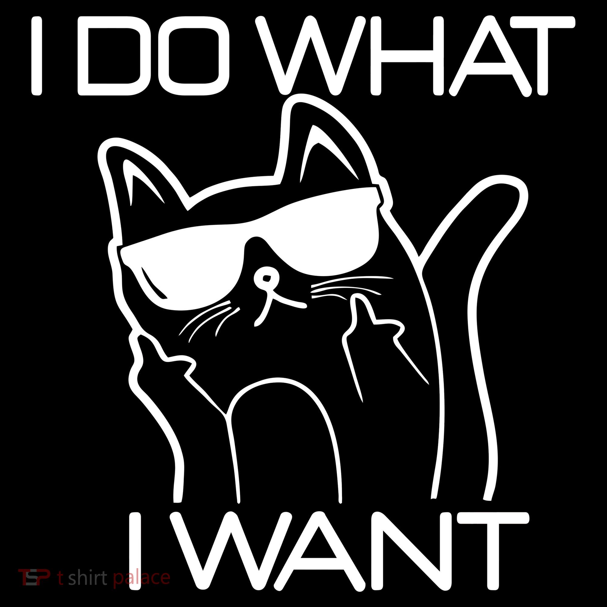 I Do What I Want Funny Cat Toddler Hoodie