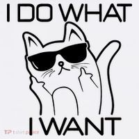I Do What I Want Funny Cat Women's T-Shirt thumb 6