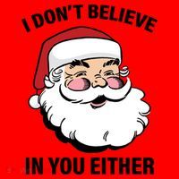 I Don't Believe In You Either X-Mas Santa Hat thumb 1