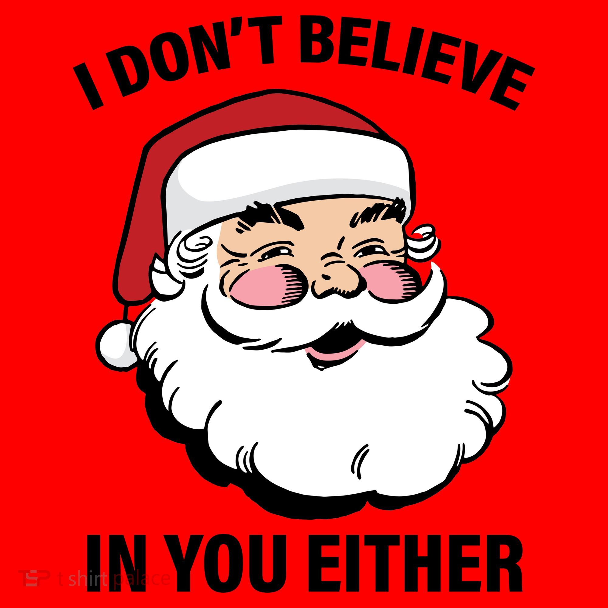 I Don't Believe In You Either X-Mas Santa Hat