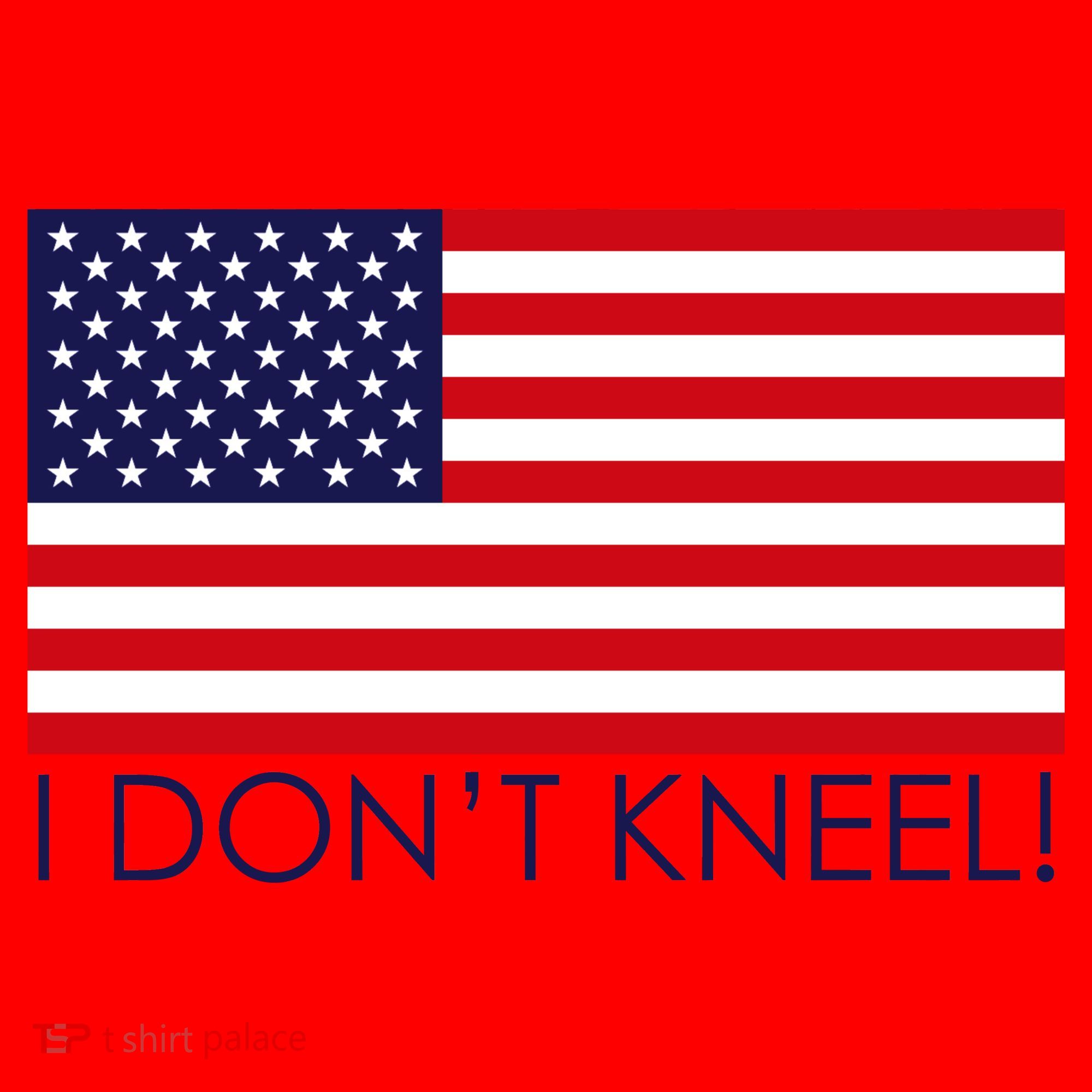 I Don't Kneel USA Flag Santa Hat